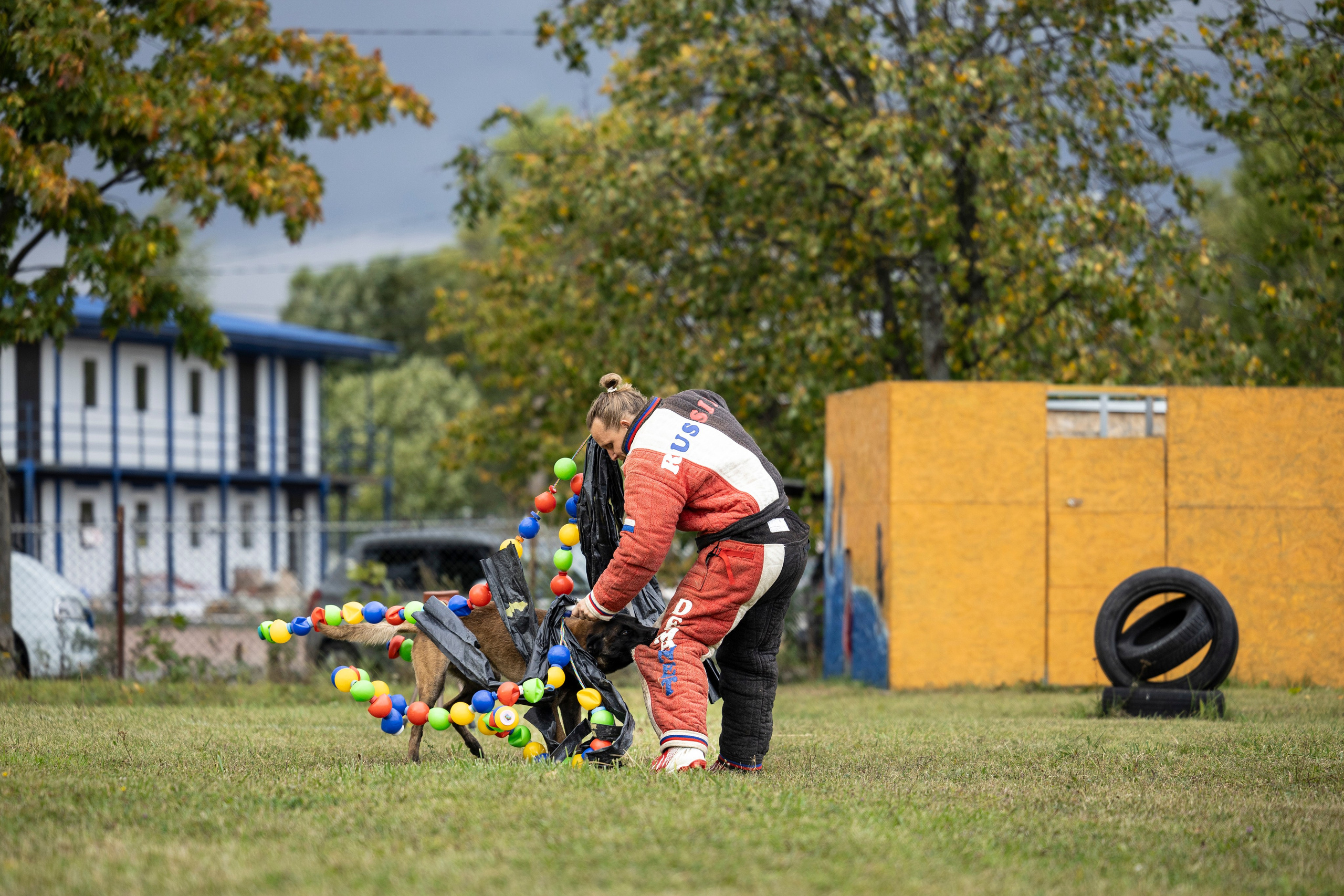 Испытания по Мондьорингу г. Пушкин. Фотограф-анималист Анна Маринич