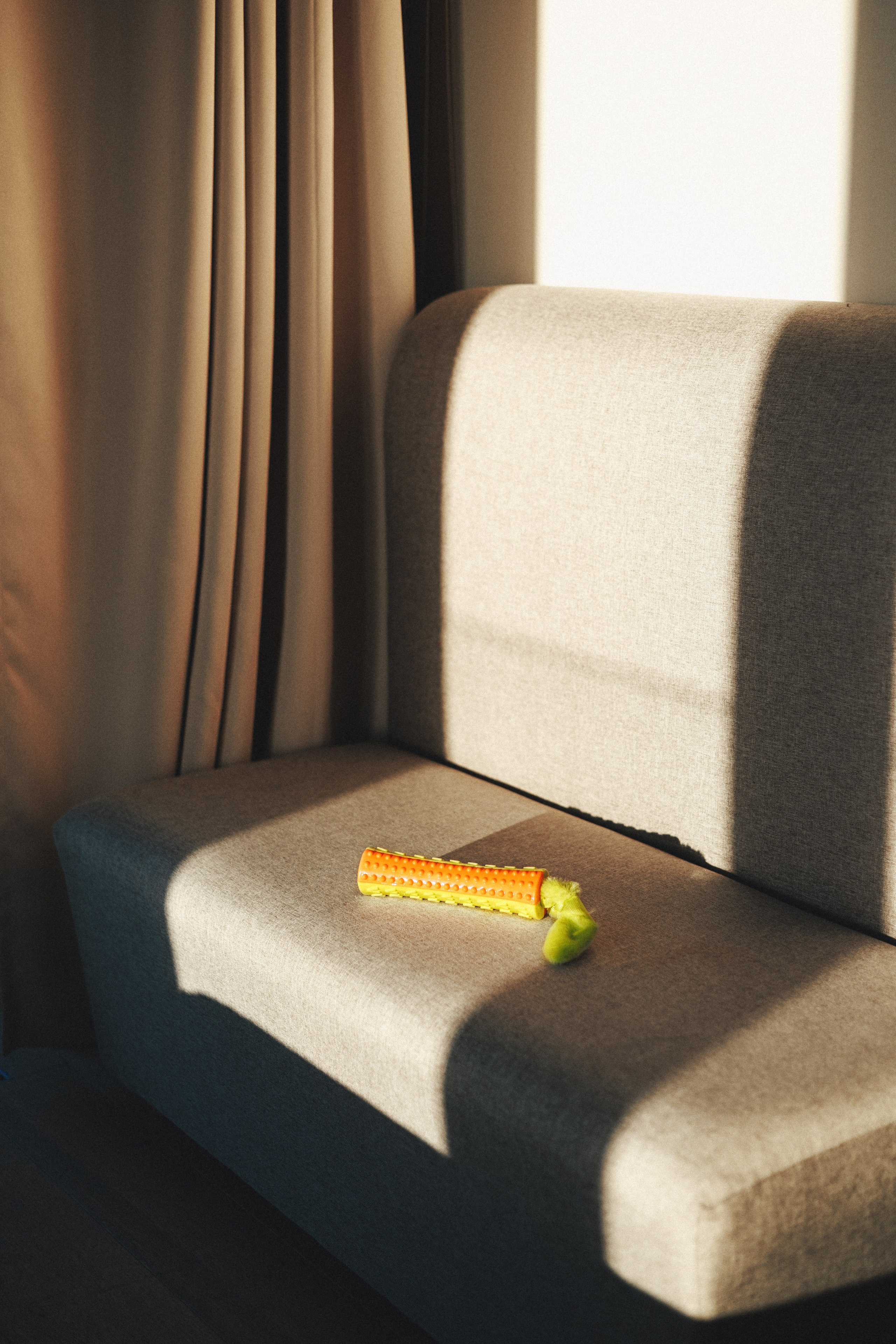 M-Pets. Фотограф анималист Осипчикова Мария