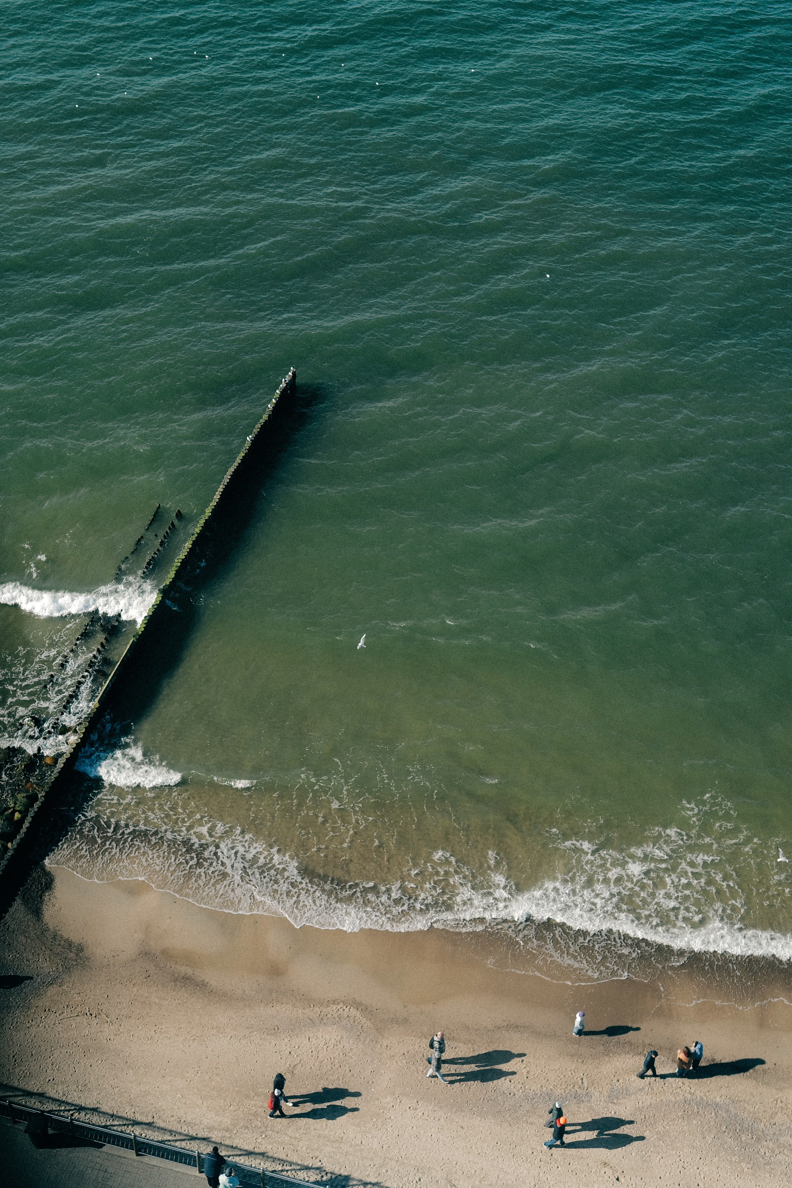 Zelenogradsk. Фотограф София Комкина