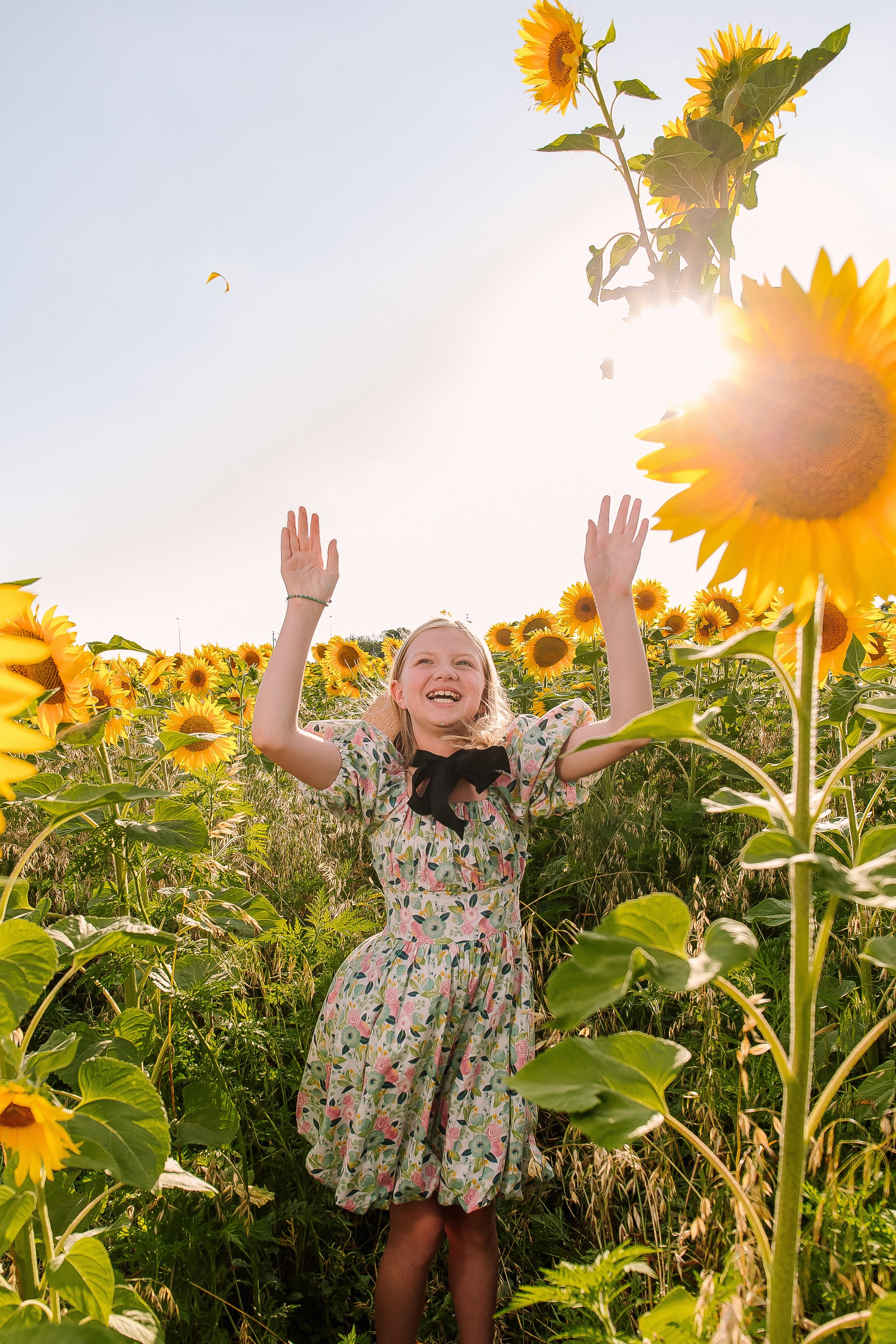Подсолнухи. Выпускные альбомы Натальи Бутко: Новороссийск, Анапа, Геленджик