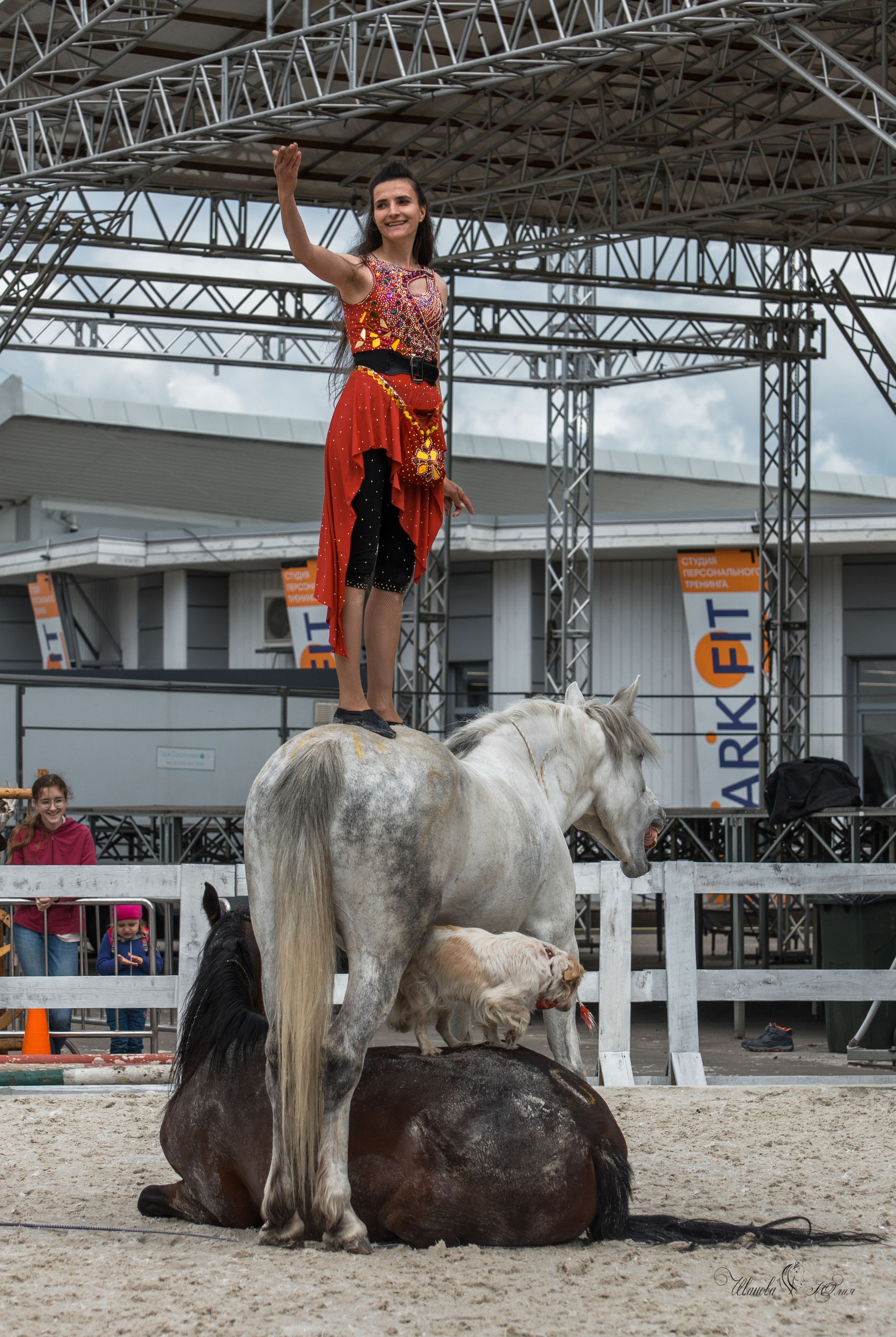 Эквирос, Москва. Конный фотограф в Саратове Юлия Иванова
