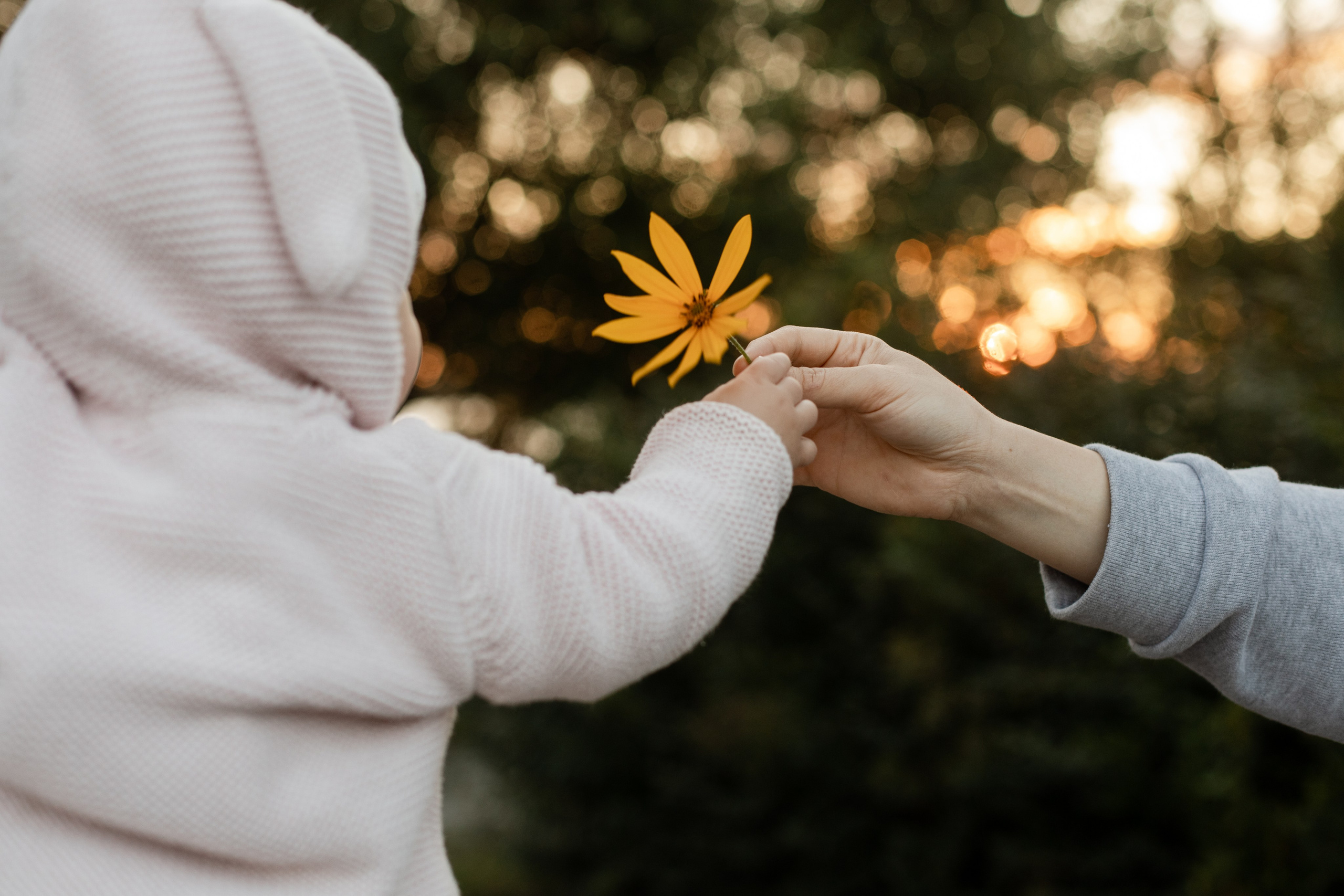 Мира. Семейный фотограф Челябинск