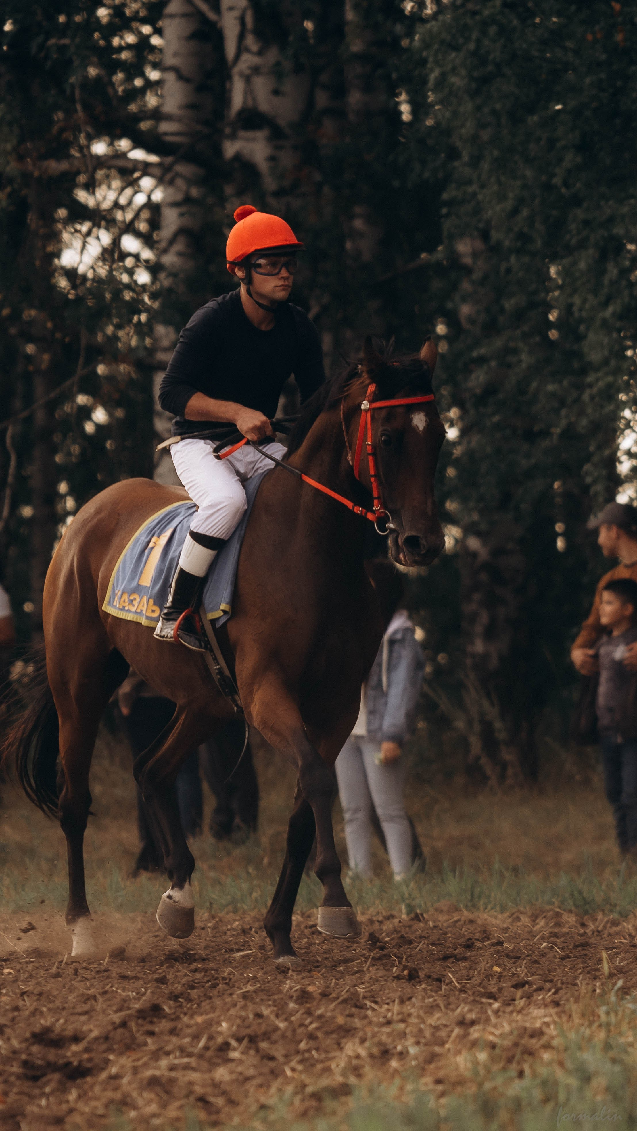 День Коня. Алиса Никитцова | Фотограф в Казани