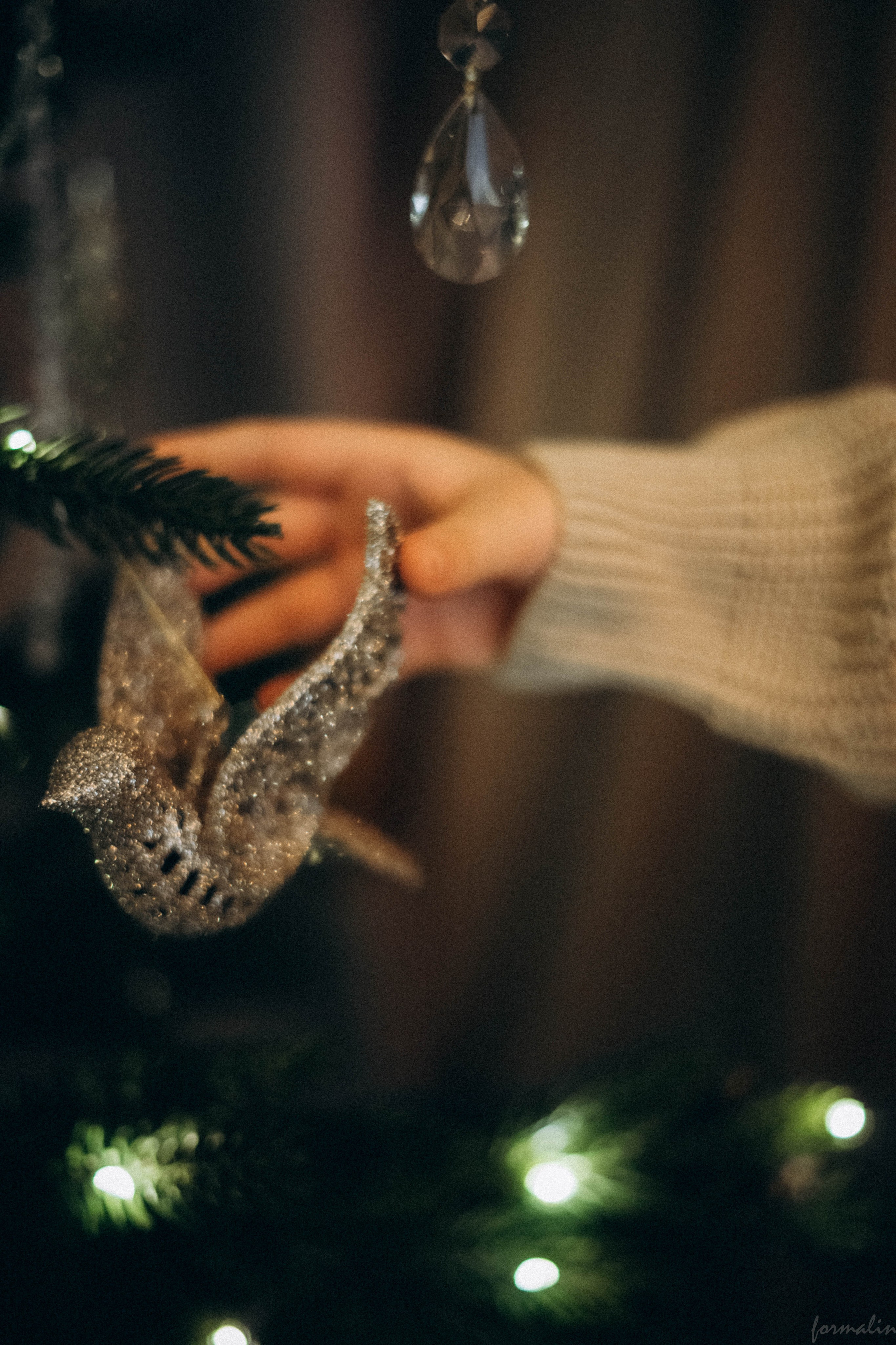 Семья в кадре. Алиса Никитцова | Фотограф в Казани