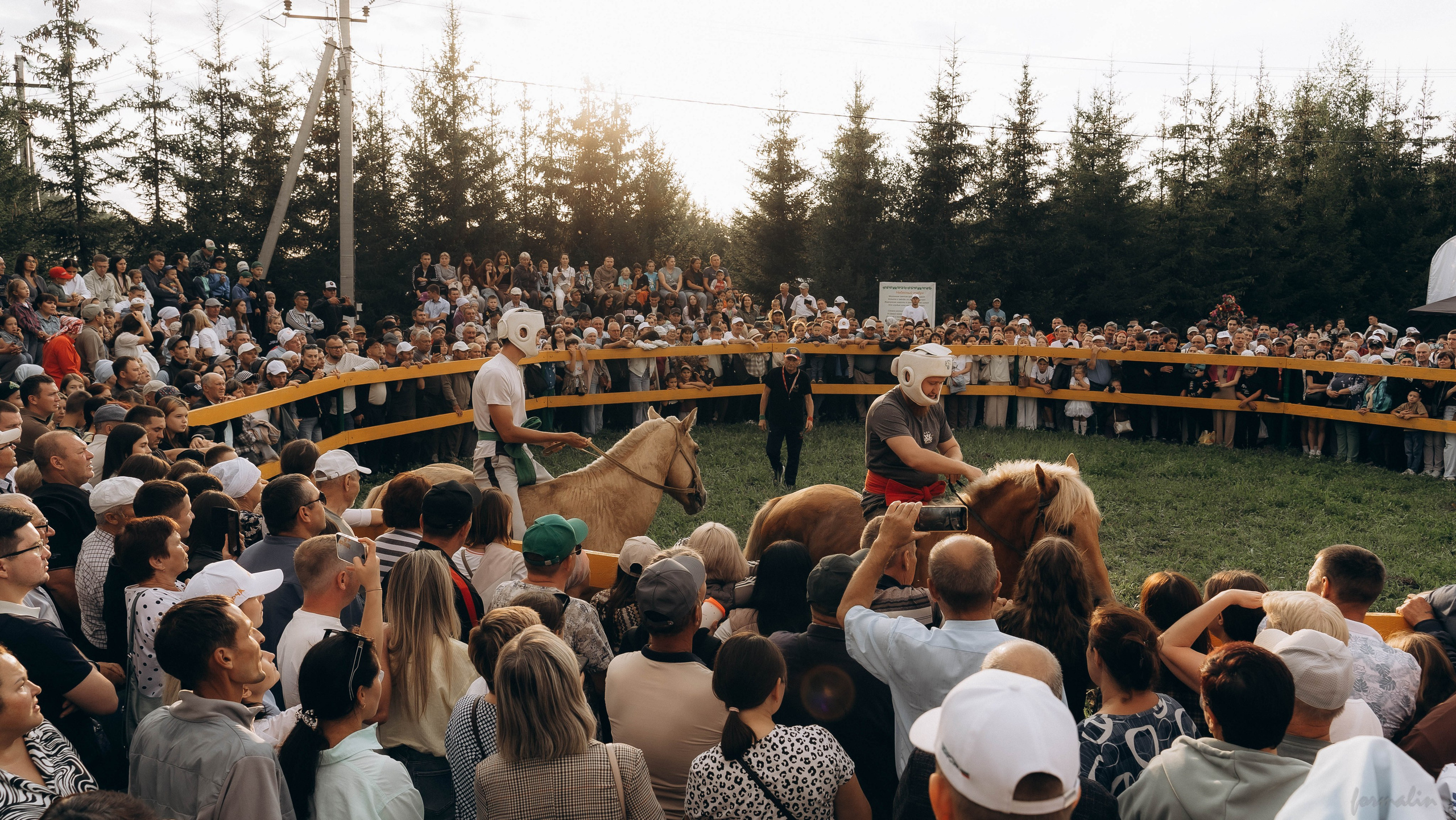 День Коня. Алиса Никитцова | Фотограф в Казани