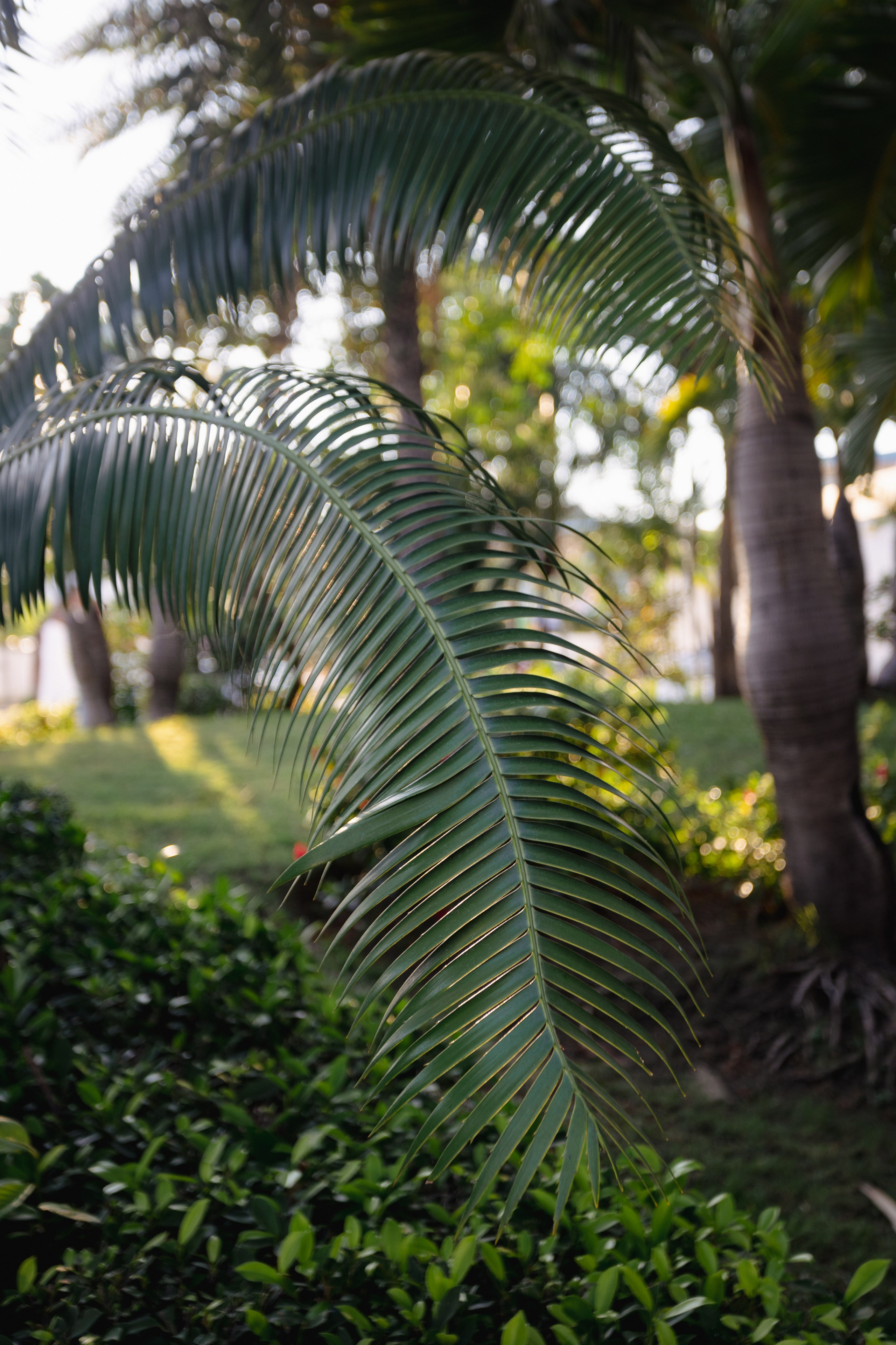 Samut Prakan. Фотограф Сонкина Татьяна