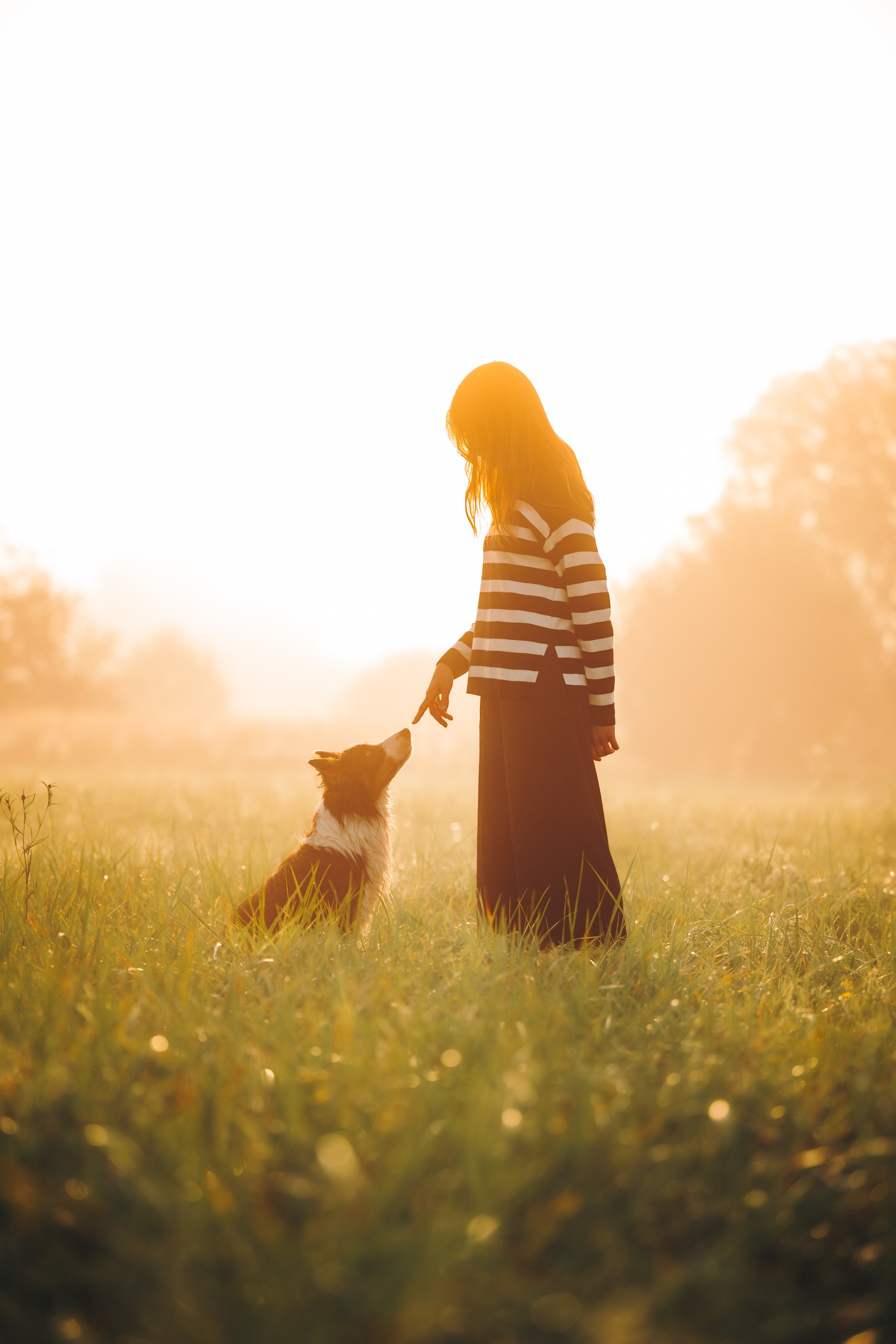 Саша, Флик и Эсприт. Семейный фотограф анималист Ананьева Мария — Москва