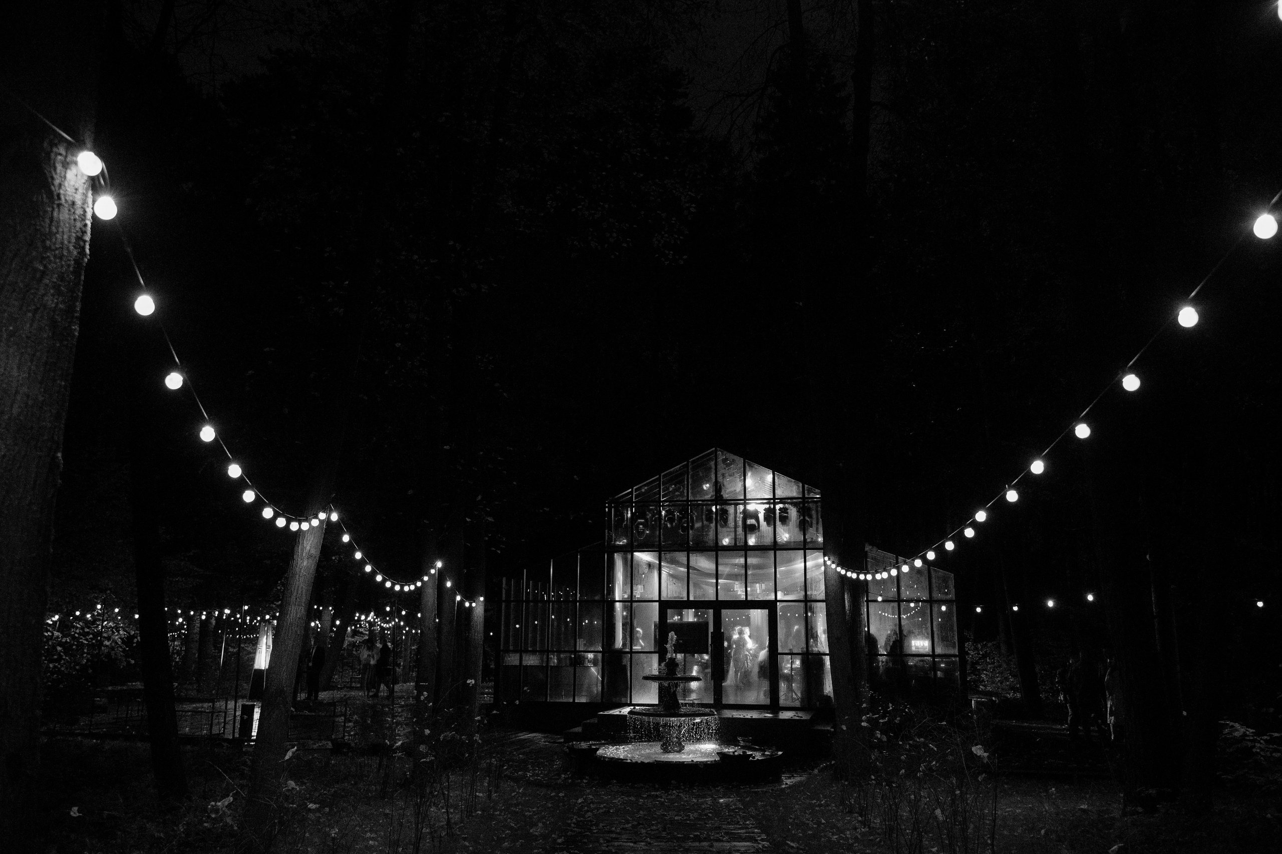 Давид и Екатерина. Свадебный фотограф Тула