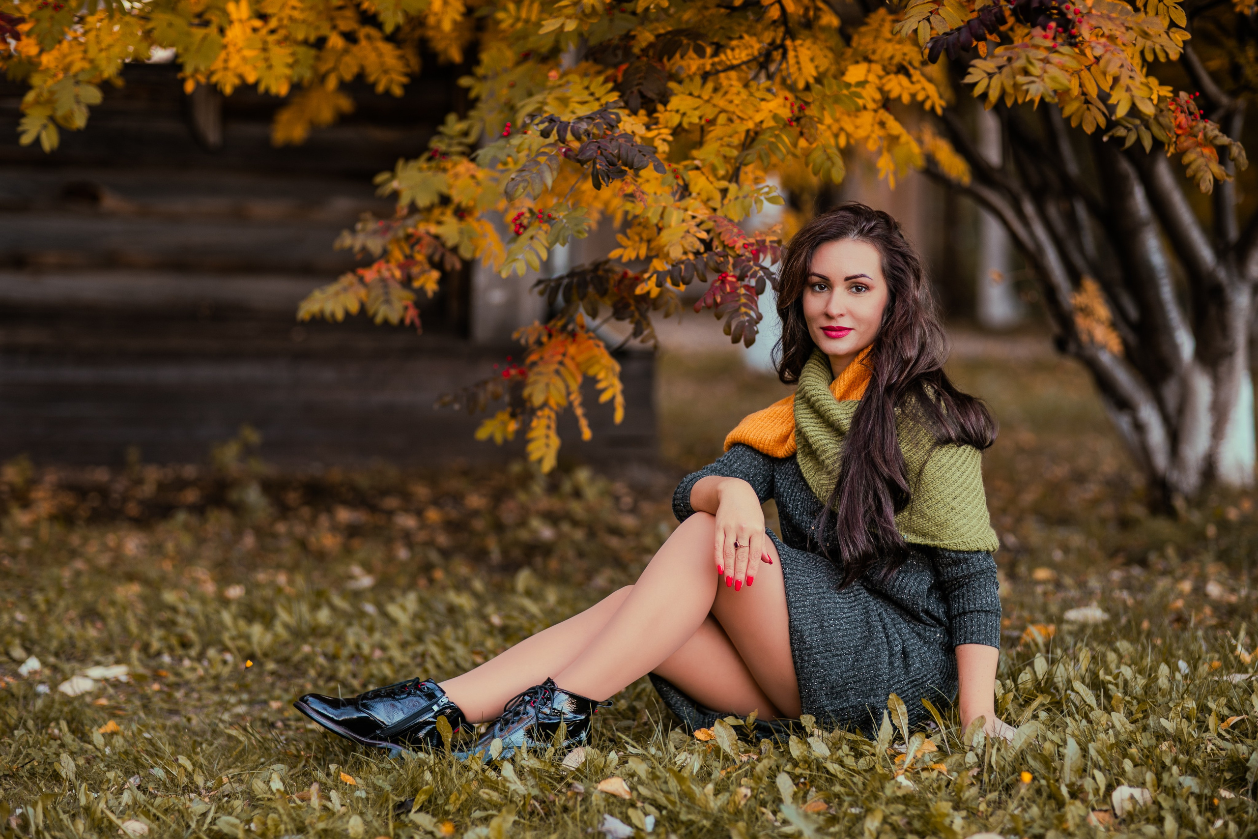 Багрец и золото. Фотограф Елена Вишневская (Ушакова) Нефтеюганск, Сургут, Тюмень