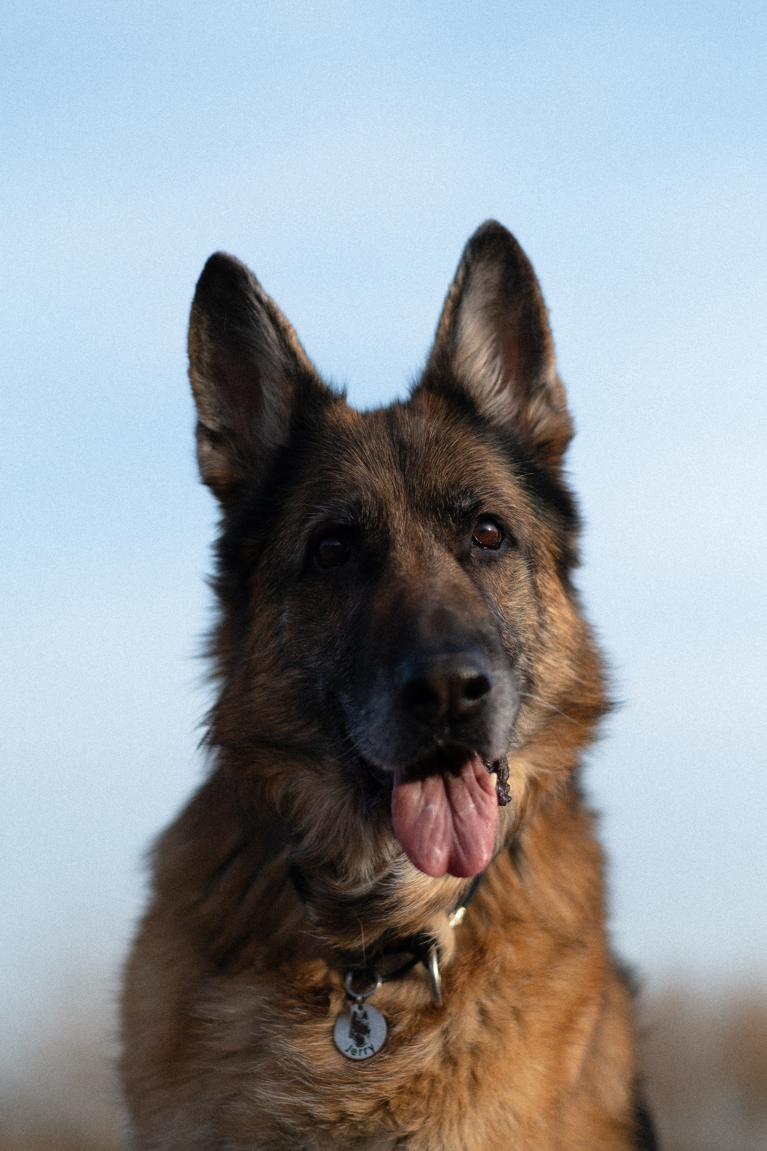 Оля и Джерри. Фотограф и видеограф анималист Аганина Дарья