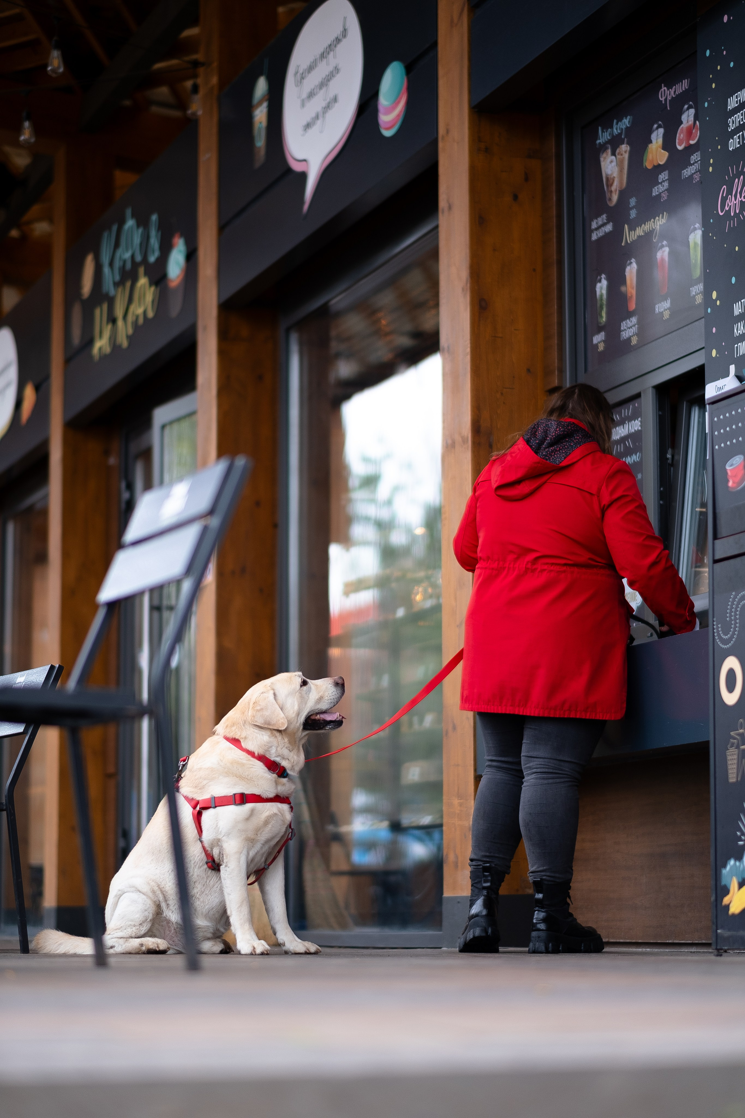 Света и Лето. Фотограф и видеограф анималист Аганина Дарья
