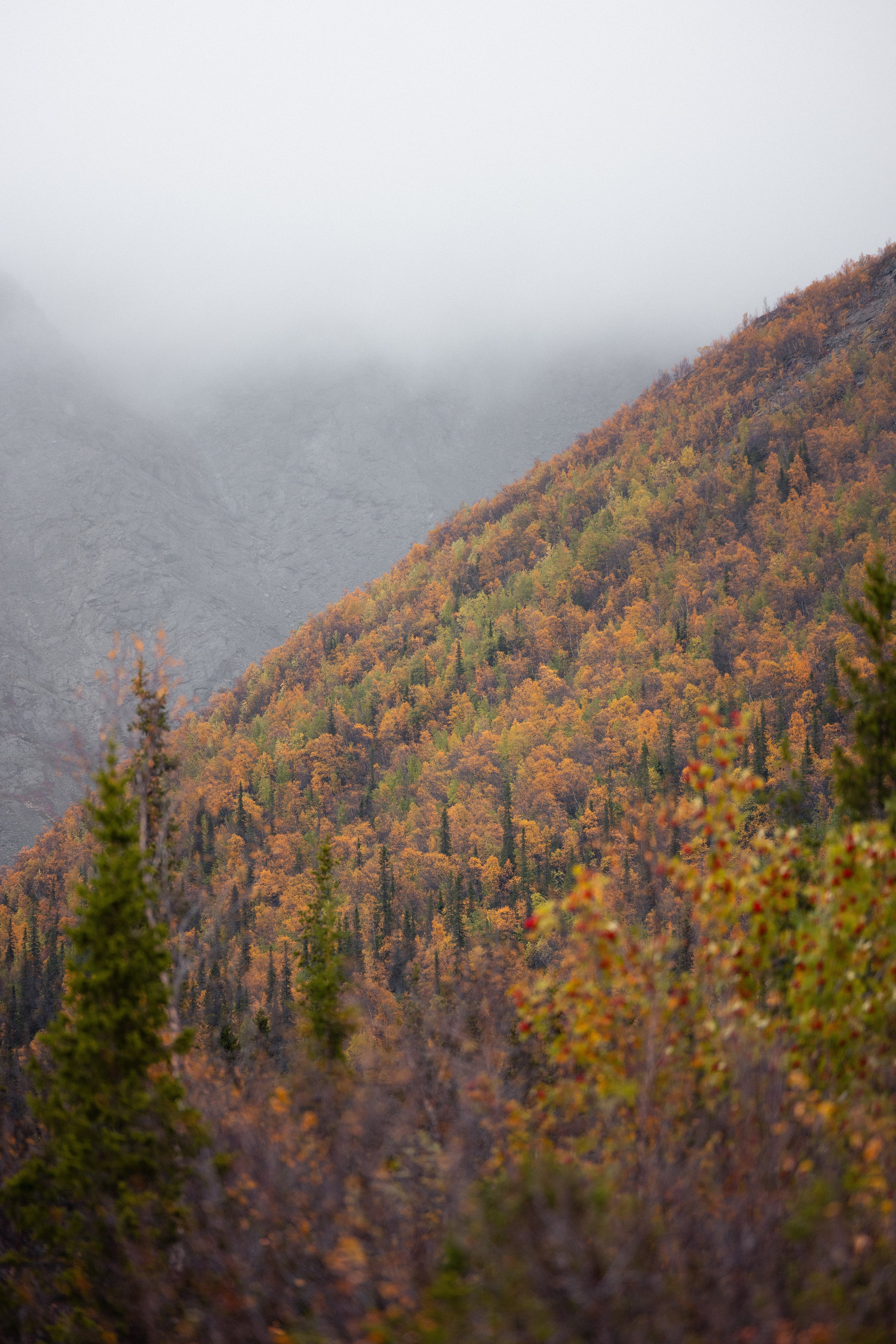 Кольский. Фотограф и видеограф анималист Аганина Дарья