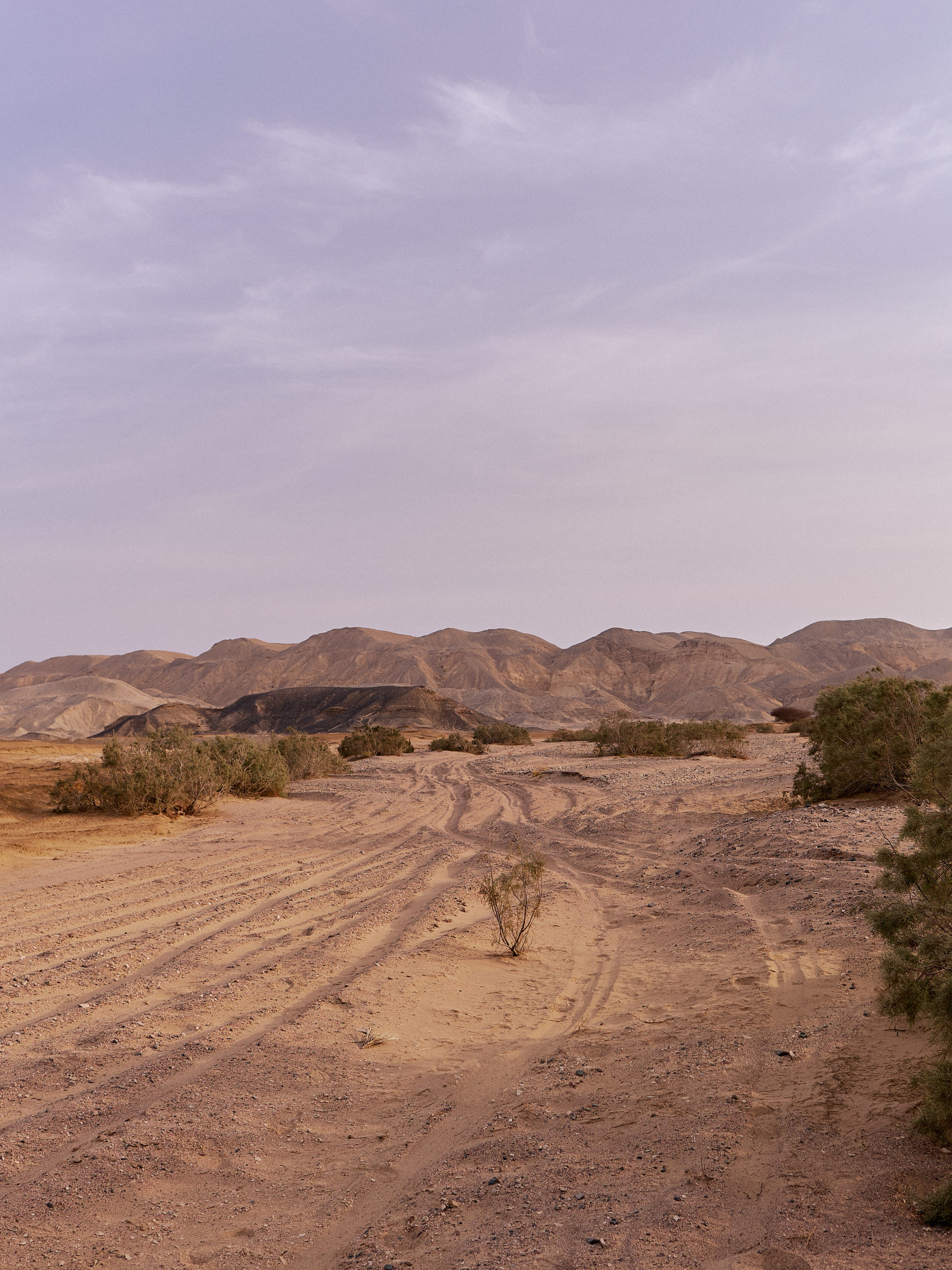 Другое 3. Jorgis Talè — photographer, kind person, teacher of arts and other mag