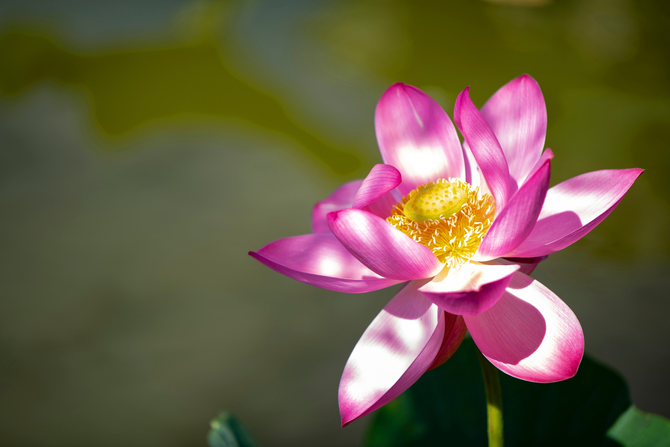 Природа Хабаровского края. Команда фотографов Кристины Ивановой