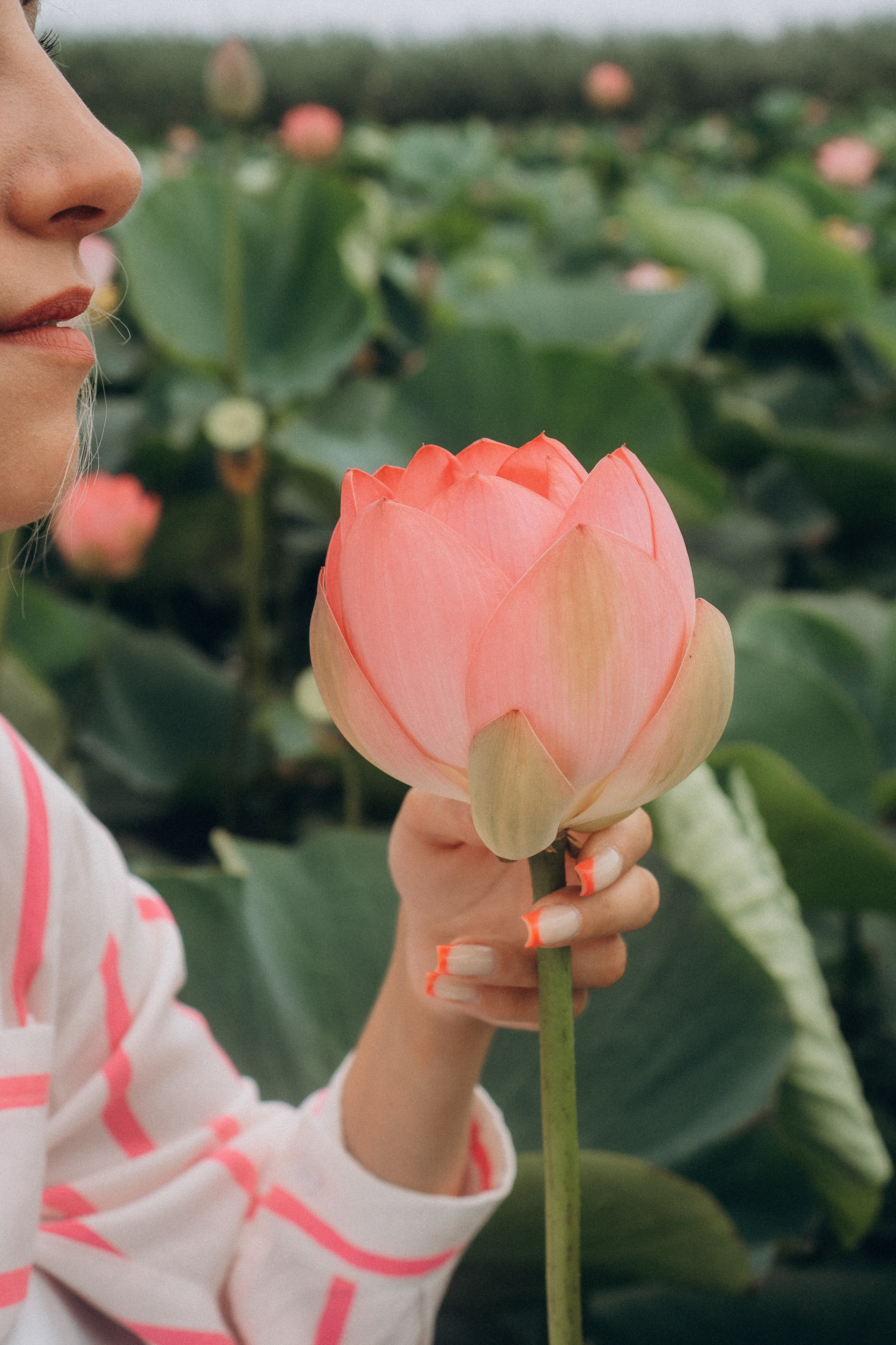 ЛОТОСОВАЯ ПОЛЯНА. Профессиональный фотограф, Санкт-Петербург — Виктория Богомолова