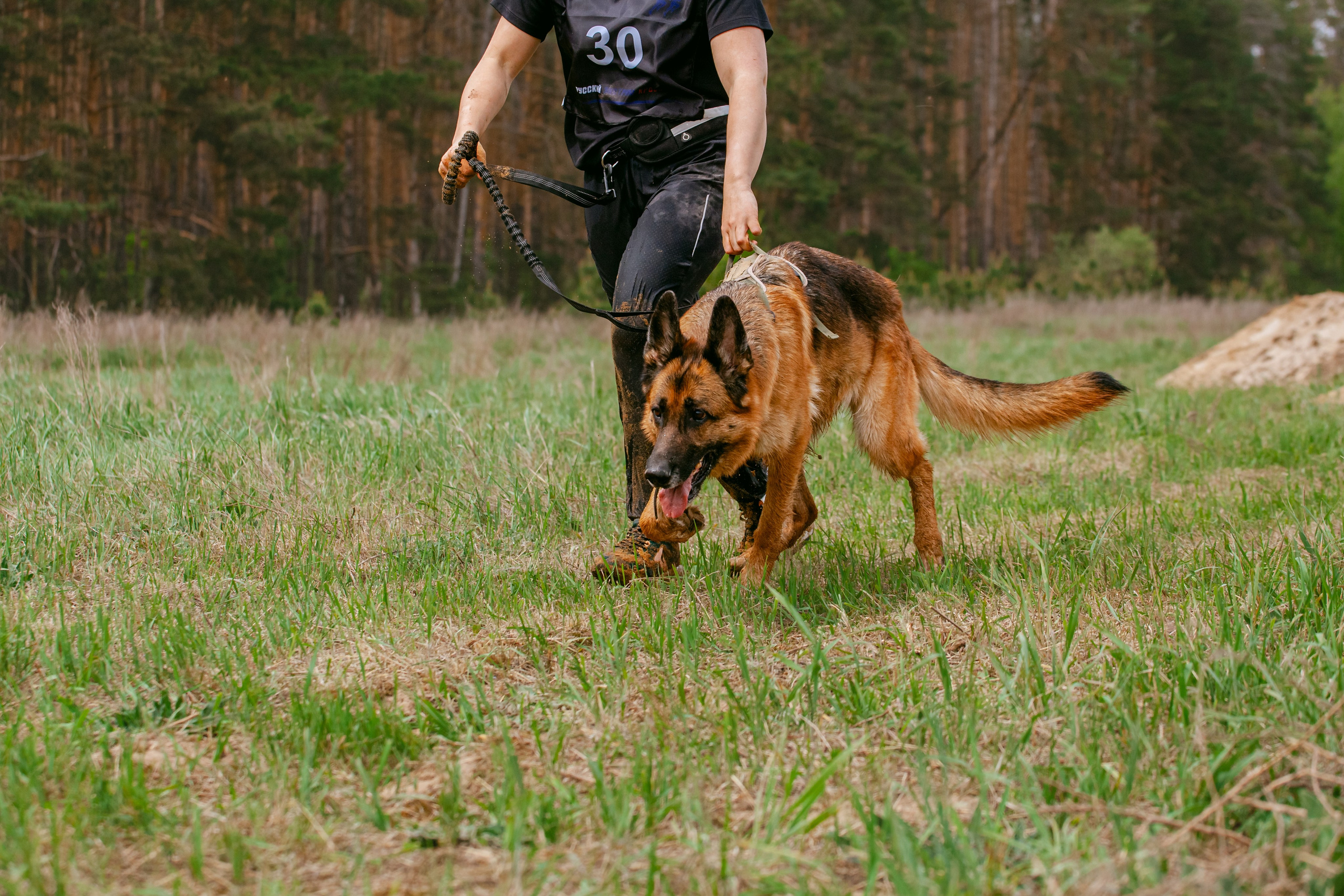 Русский экстрим кросс в Рязанской области 17.05.2025. Фотограф-анималист Татьяна Степанова