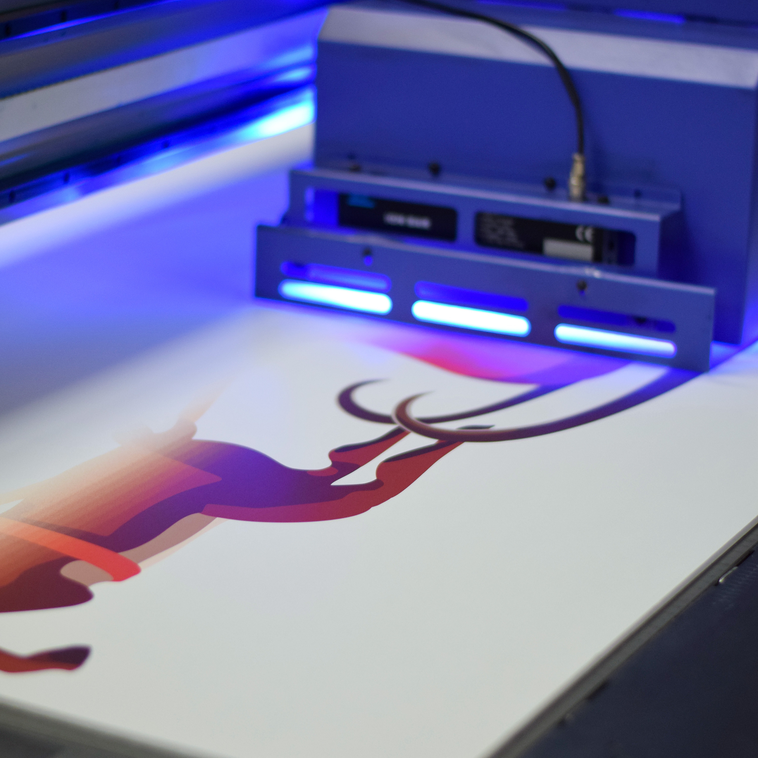 #2. Фотограф и Видеограф в Севастополе и Крыму Рина Ри