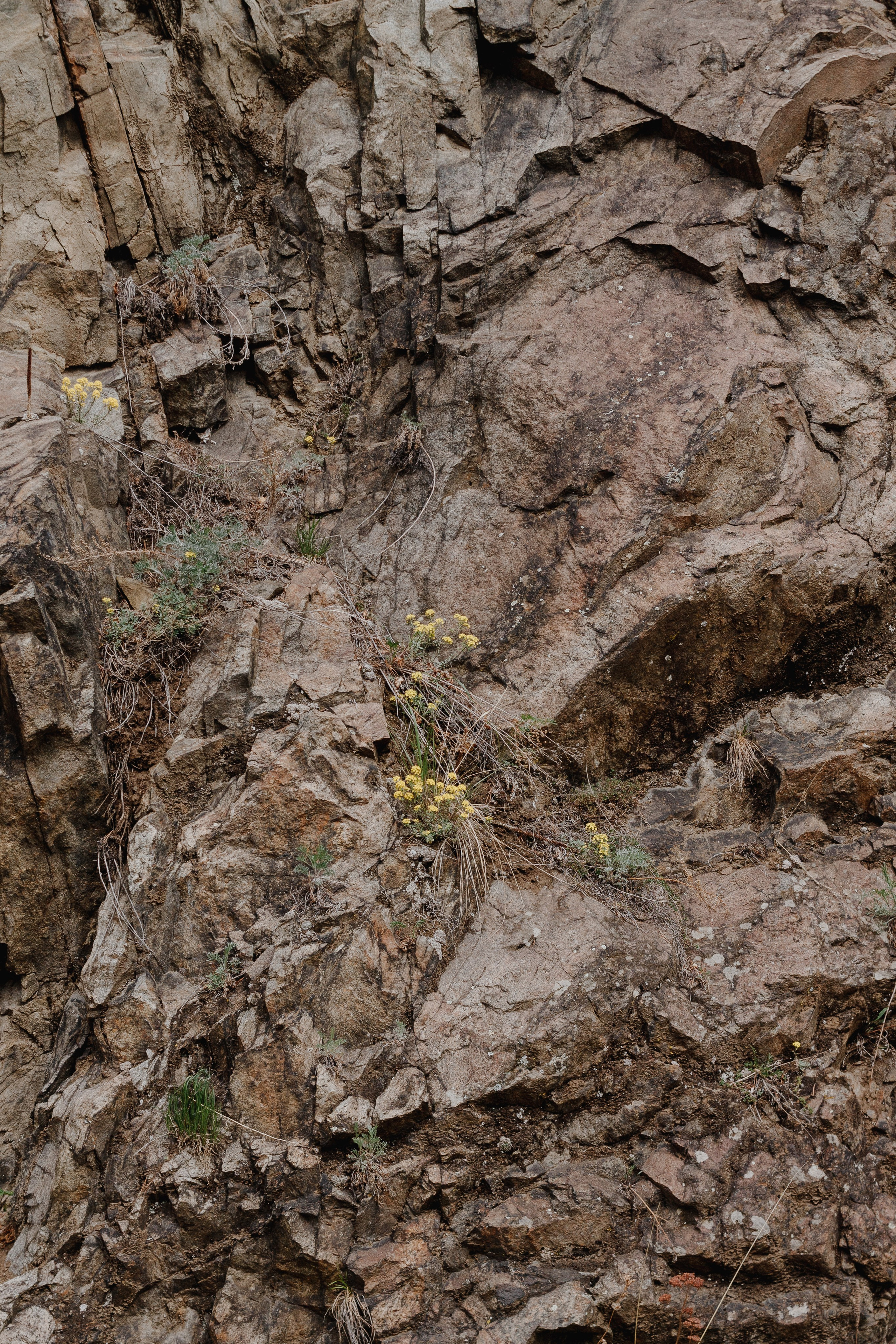 Ретрит на Байкале / Школа Ведических знаний SoVA / 7 дней, 2023. Борщевская Елизавета / фотограф Иркутск