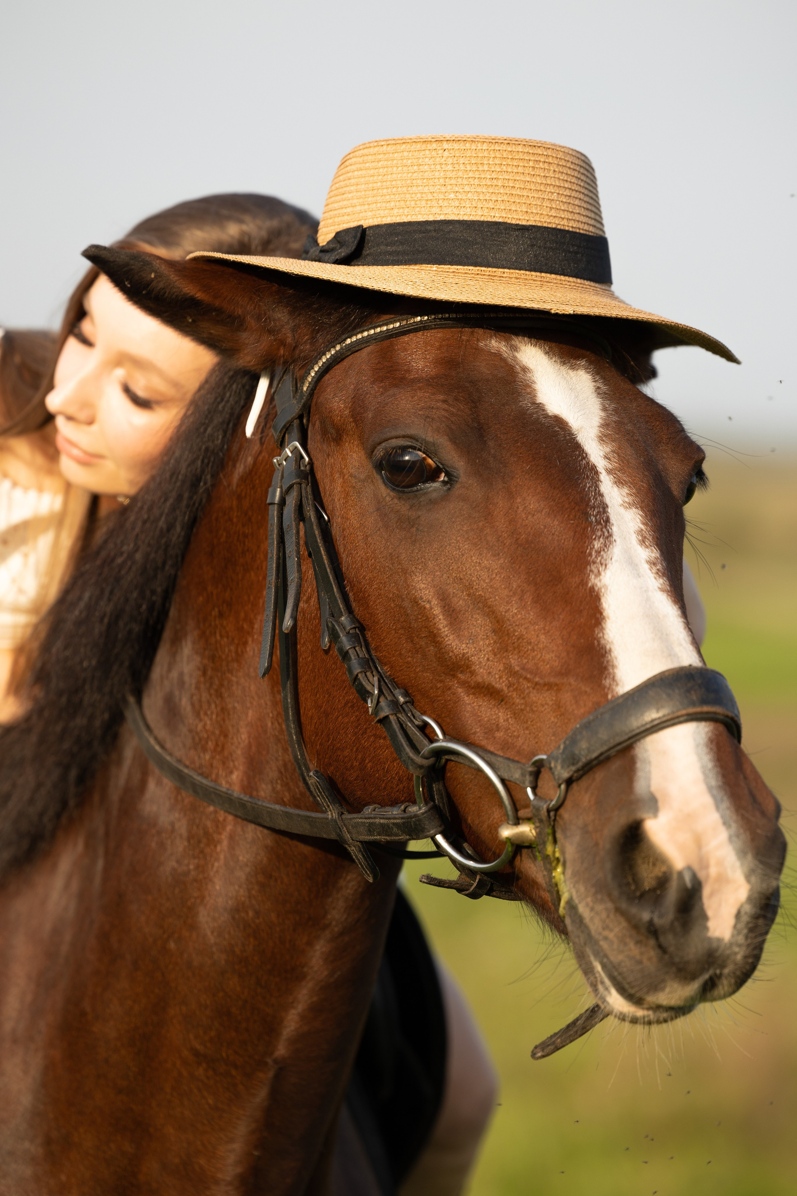 Лошадка на ранчо, модель Екатерина. Главная