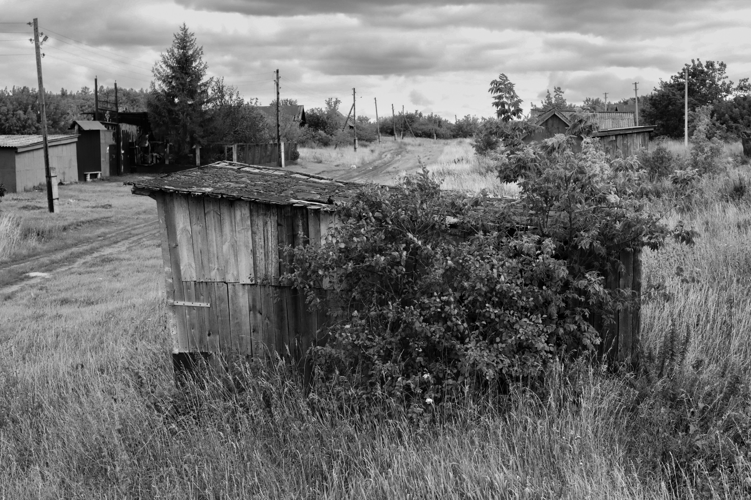 СКВОЗЬ ВРЕМЯ. Ekaterina Ageeva