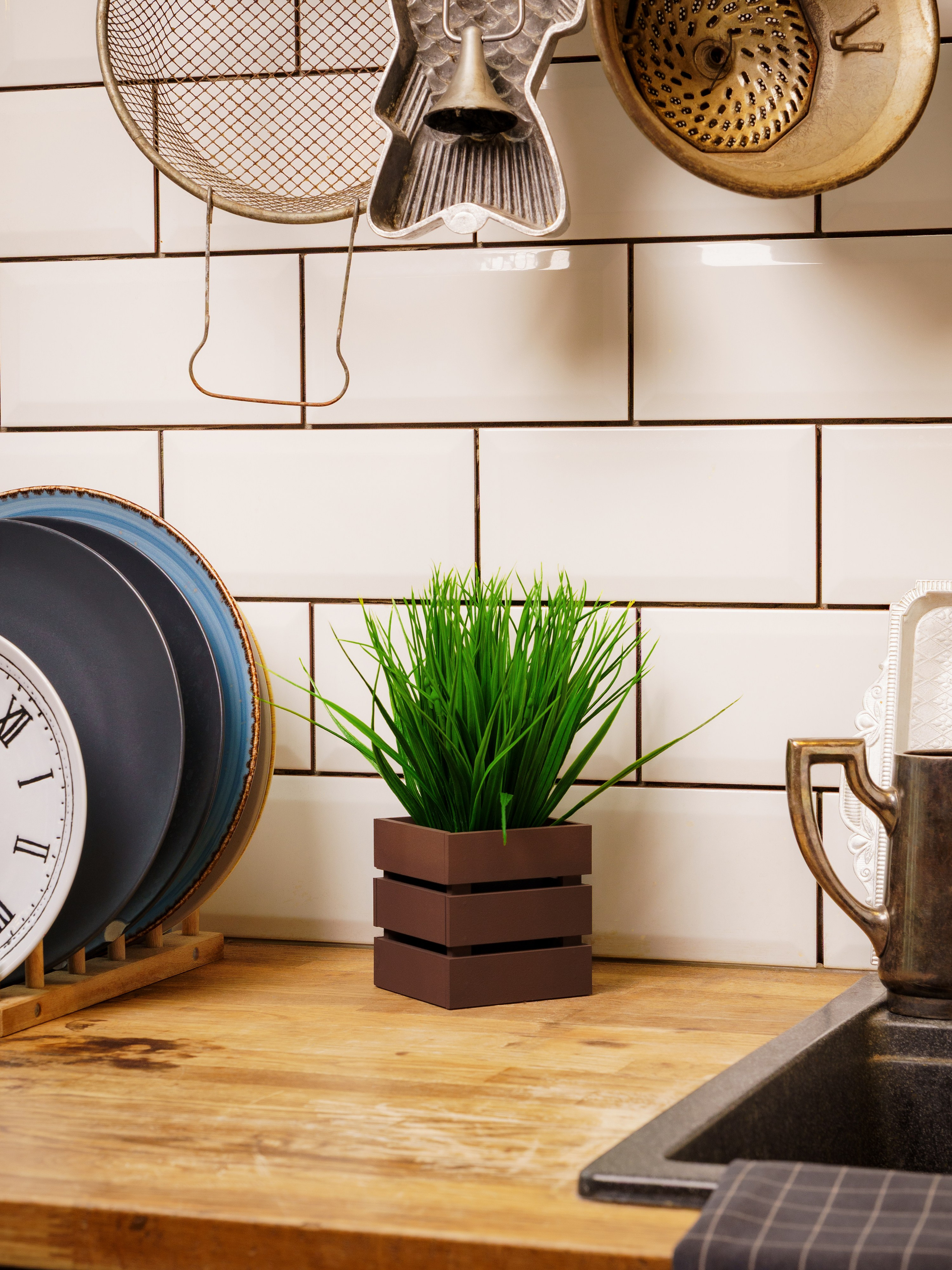 Кашпо. Макаров Сергей|Creamlebot Фотограф города Ростов-на-Дону