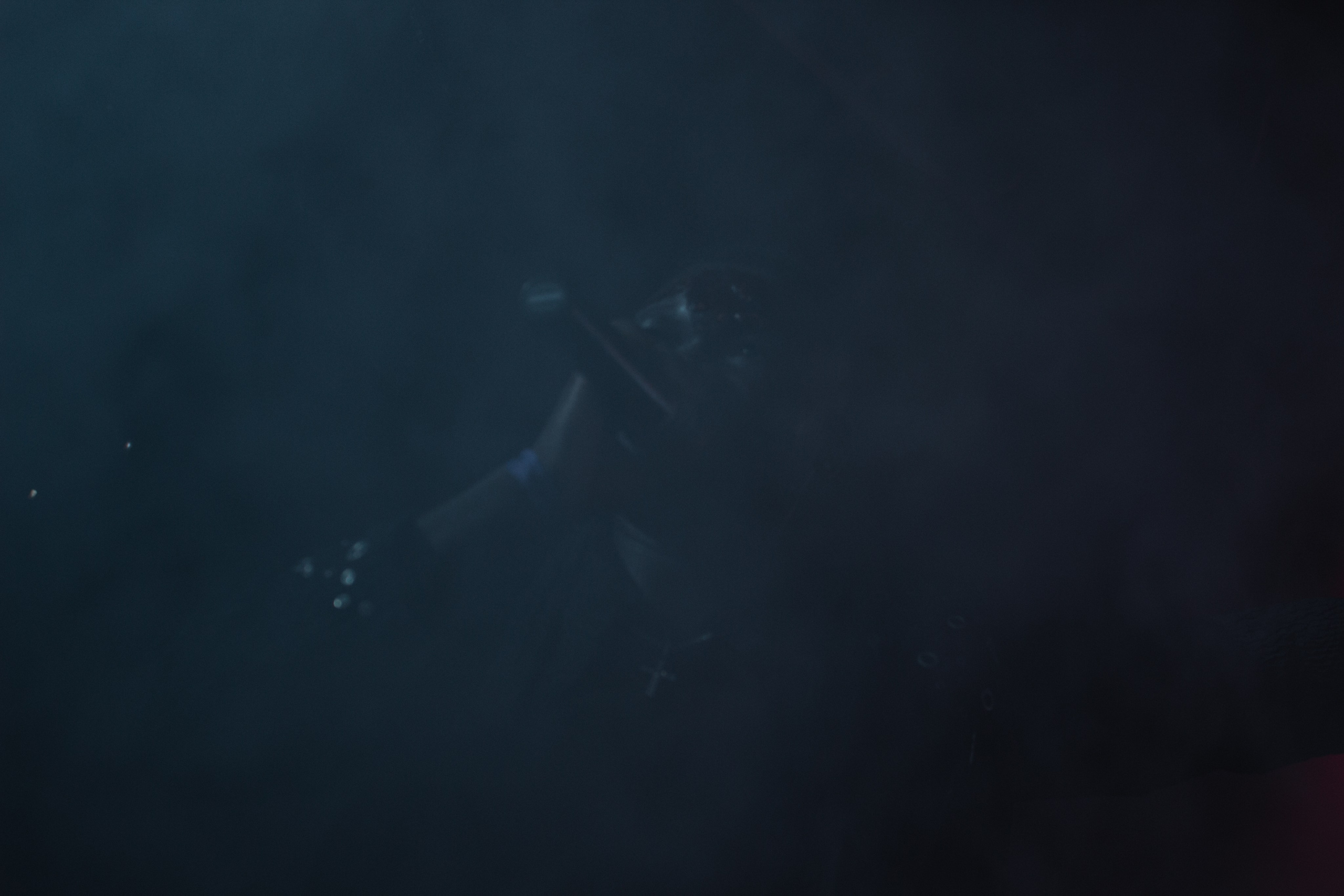 Концерты. Music label Dust Heave sound