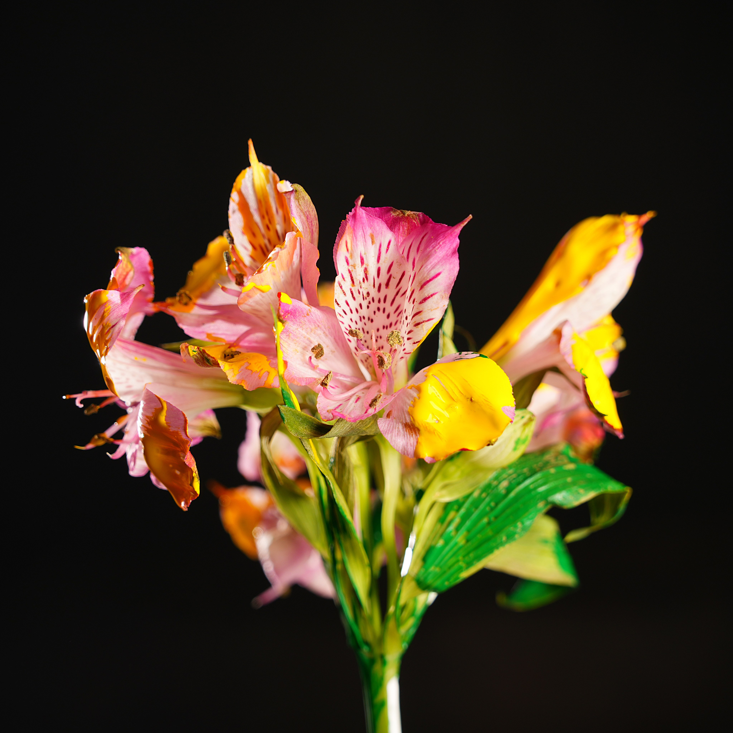 Предметная фотосъёмка. Фотограф, видеооператор Нина Коршунова