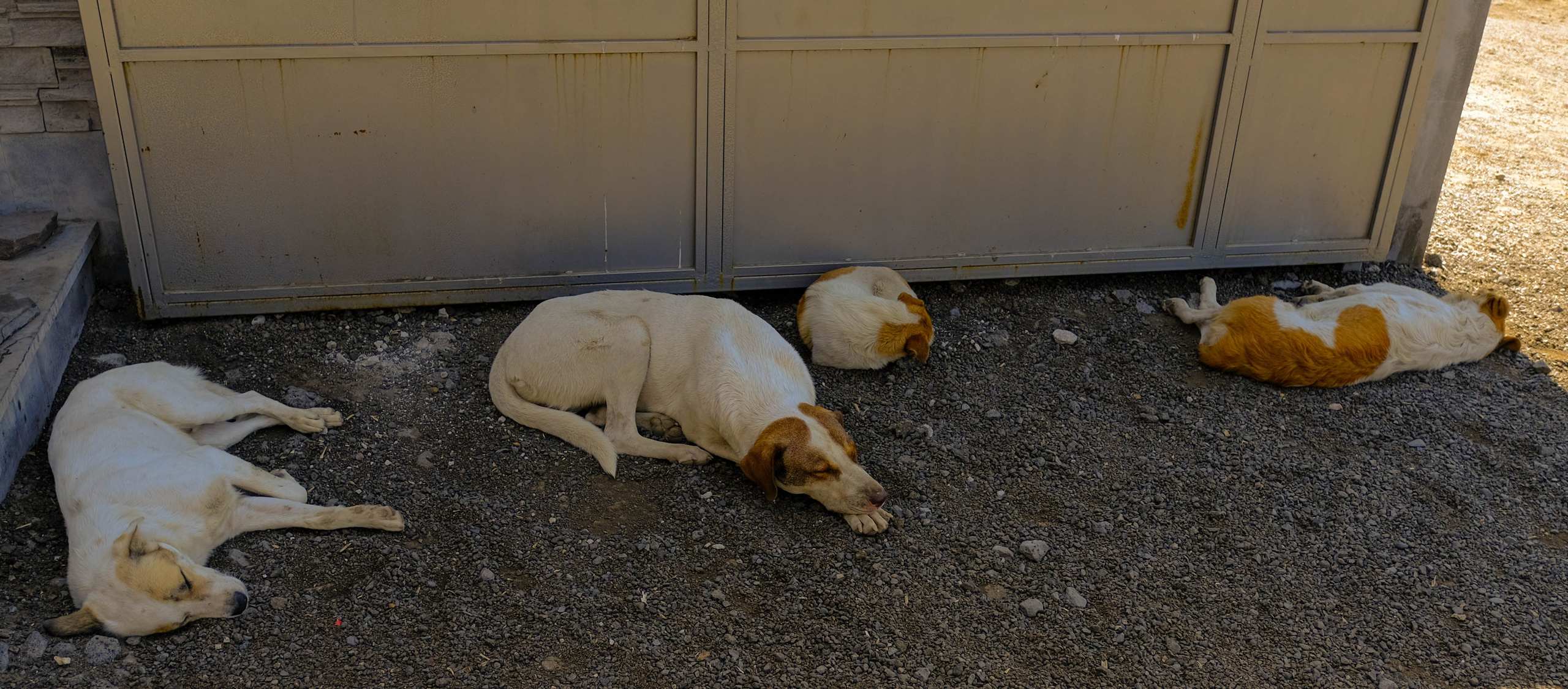 Севан и Храмы. Фотографии из путешествий