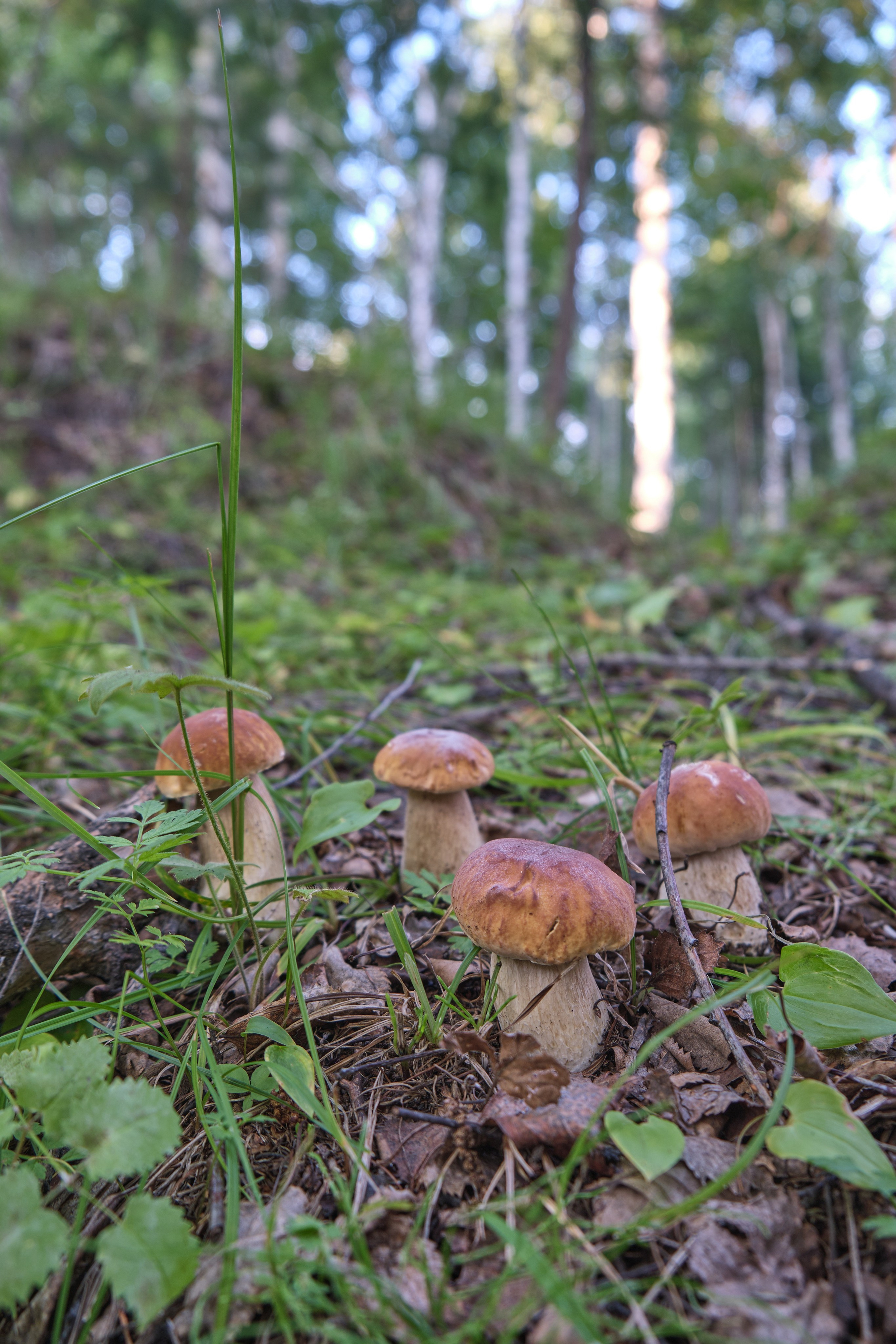 Байкал. Предметный фотограф в Краснодаре