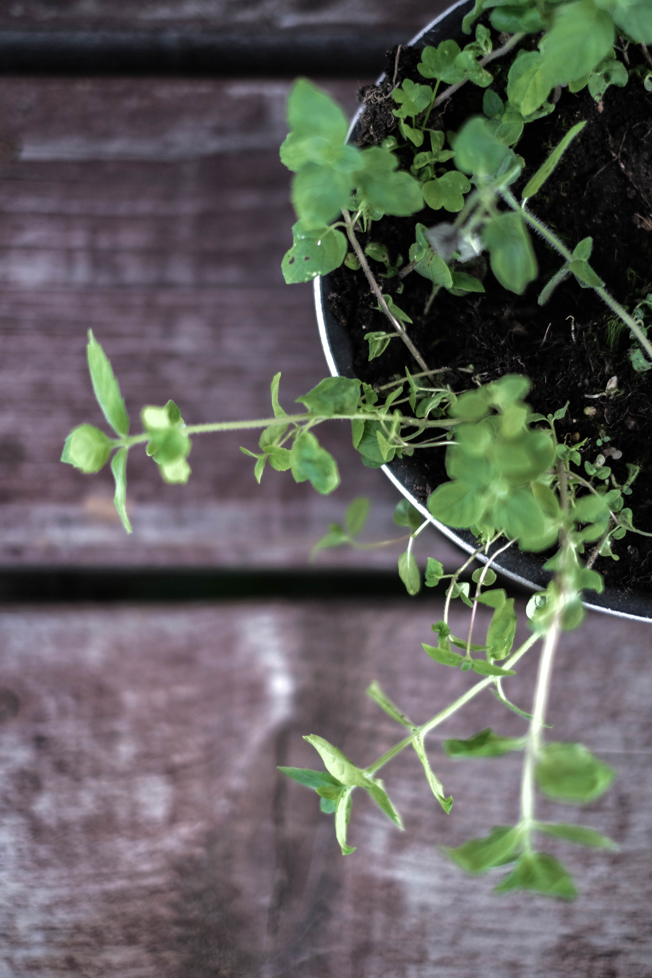 Курс «Психология на грядке». АRТ&PSY | Искусство психологии