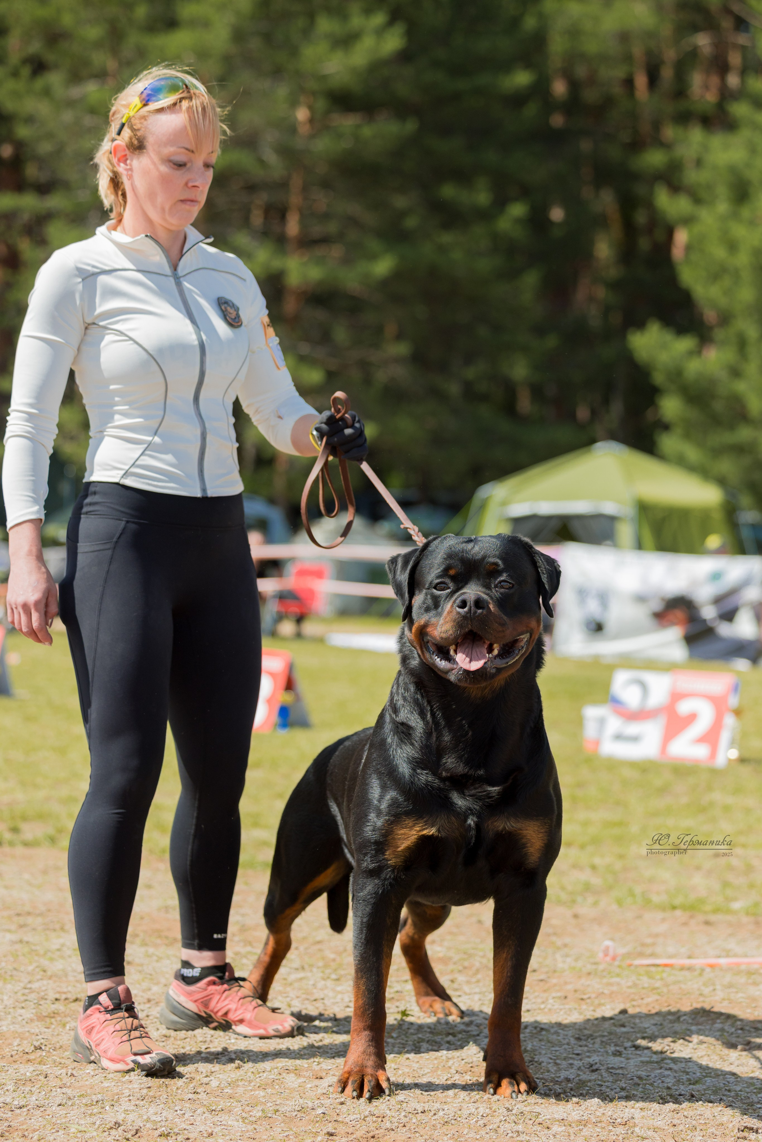 Тверь ротвейлеры 5-6.07.2025. Фотограф-анималист Юлия Германика
