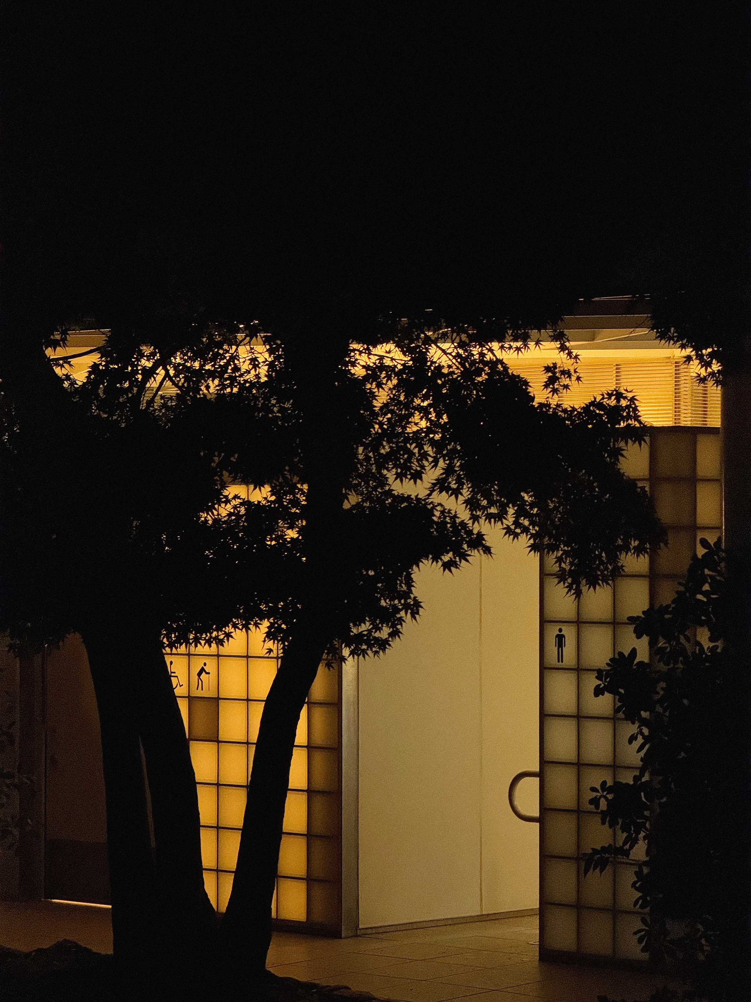 Япония. Главная