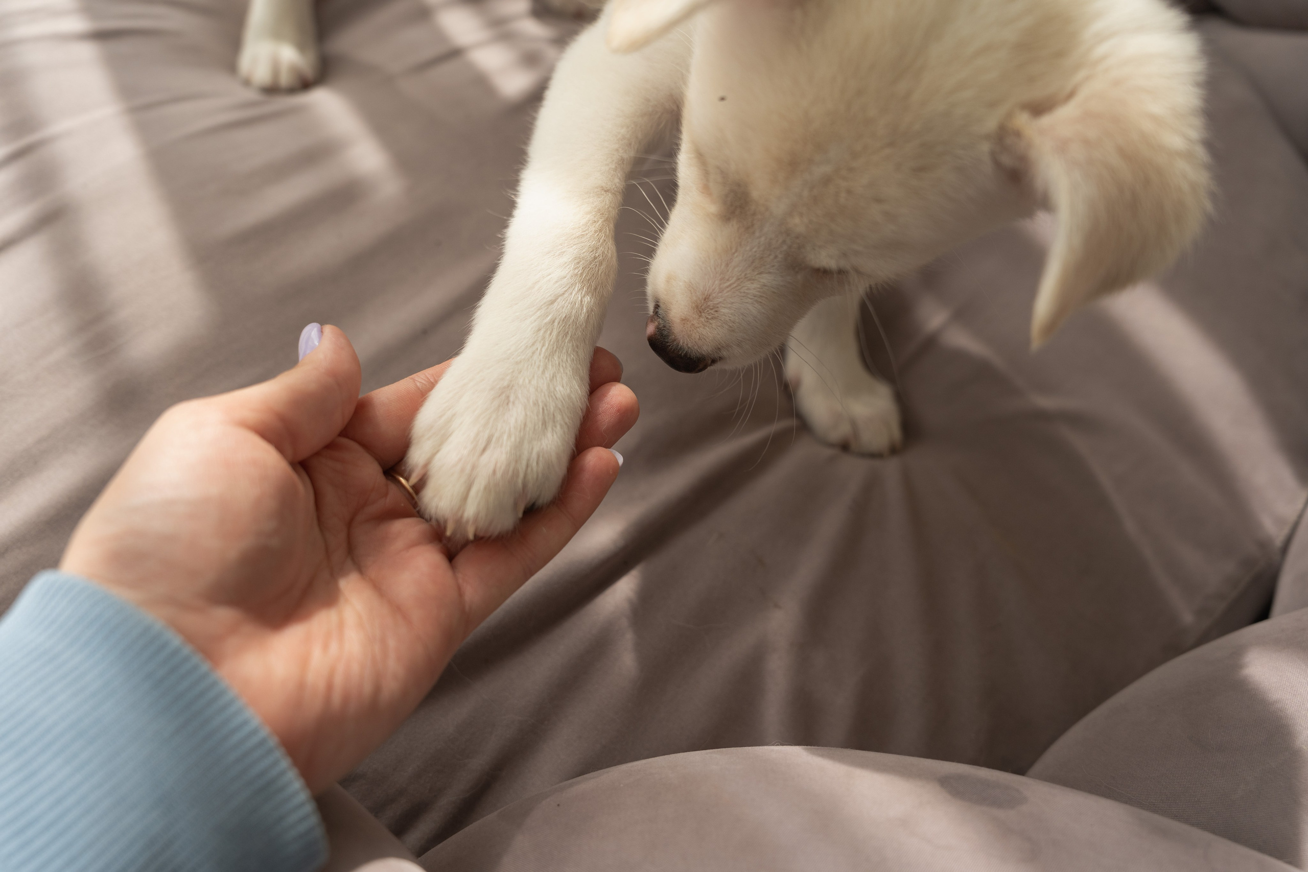 Фотограф в Москве Лера Голубенко