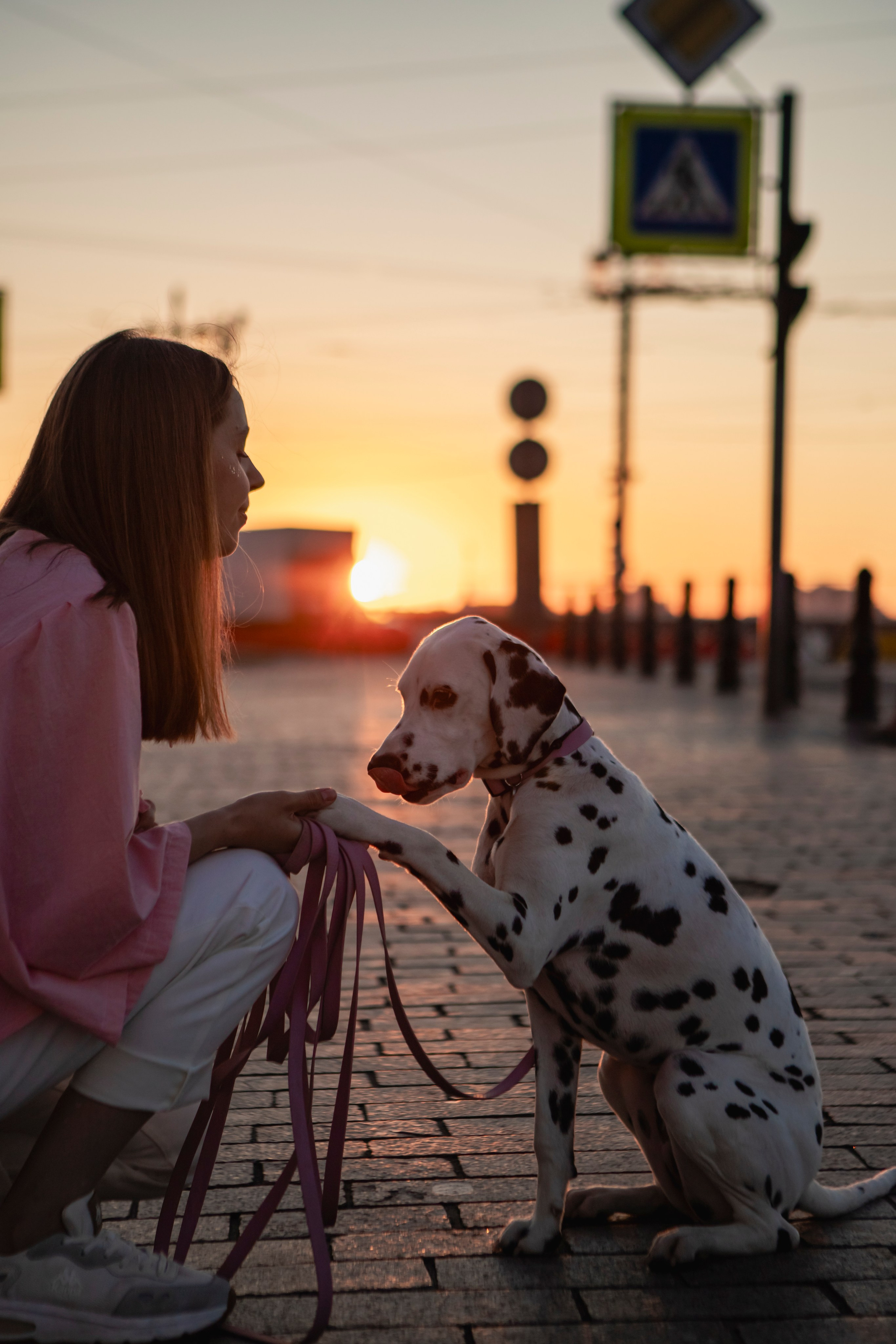 Женя и Сара. Фотограф-анималист в Санкт-Петербурге Алина Яхонт