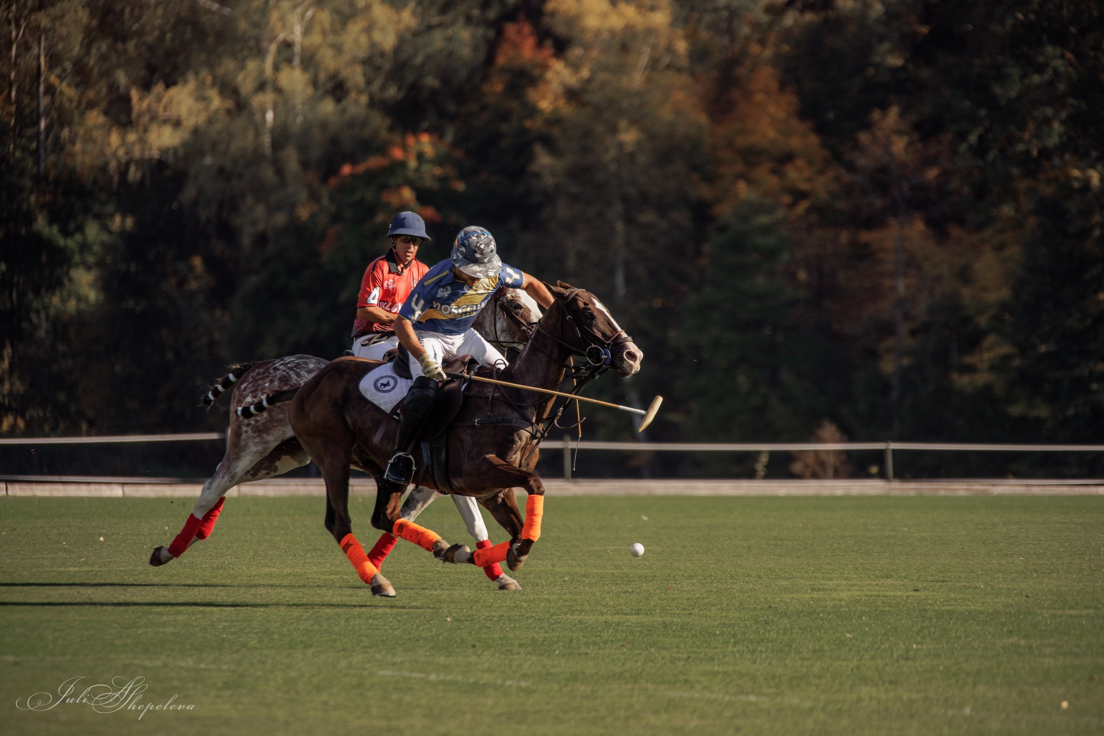 Осенний кубок по конному поло. Детская Конная фотография в Москве Юлия Шепелева