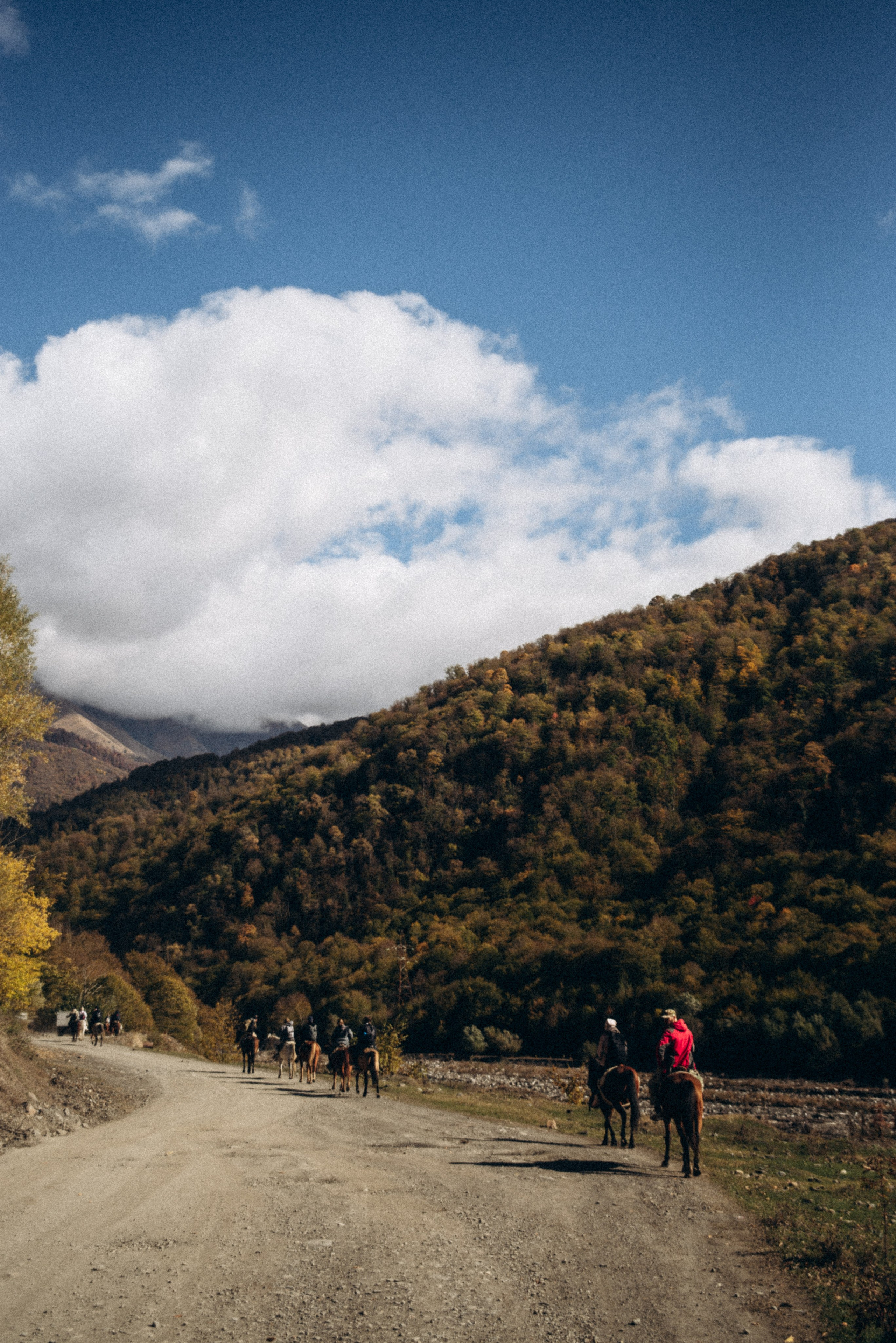 Конный поход 🇬🇪 «PVD Club». Anita_photo