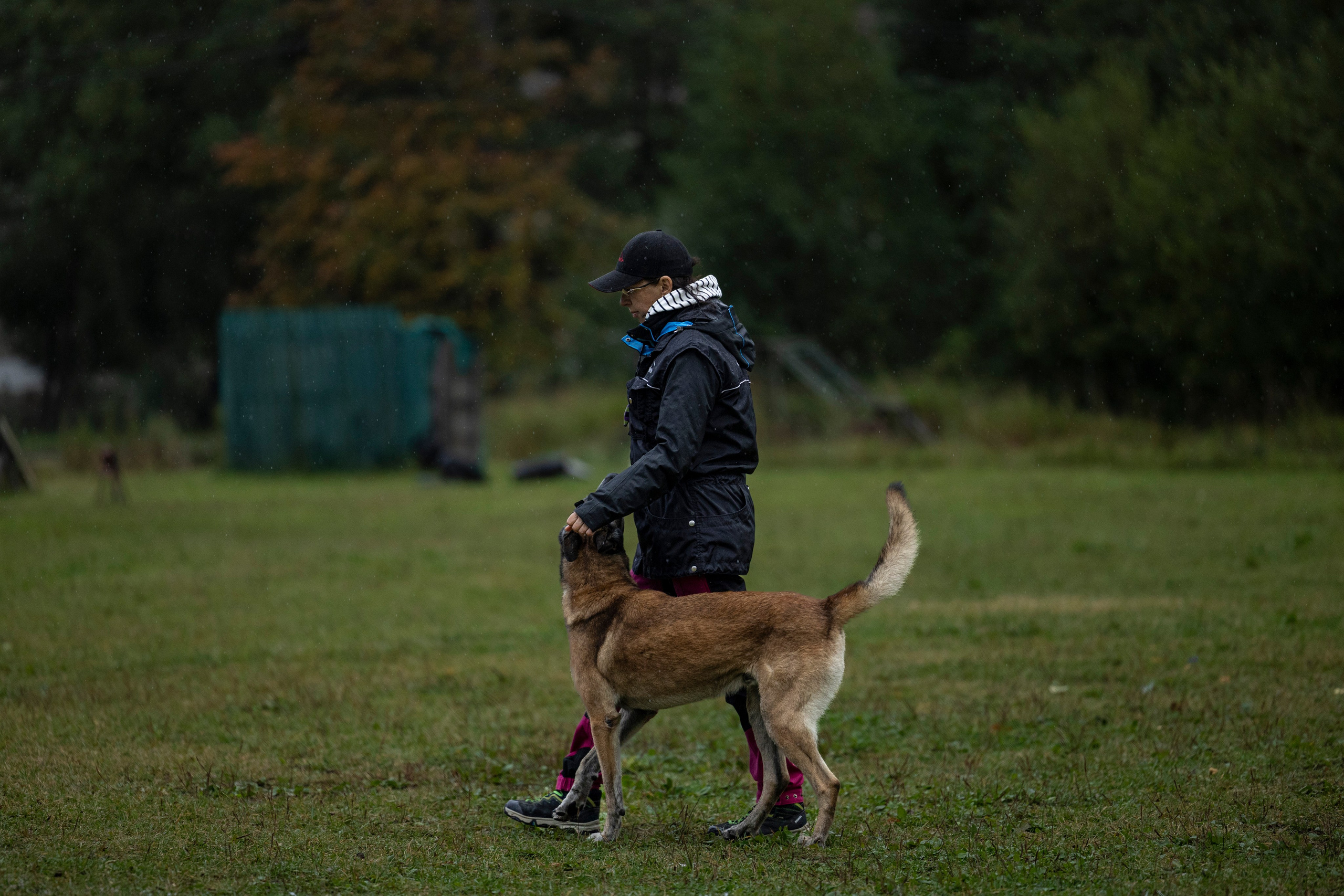 Испытания по Мондьорингу г. Пушкин. Фотограф-анималист Анна Маринич
