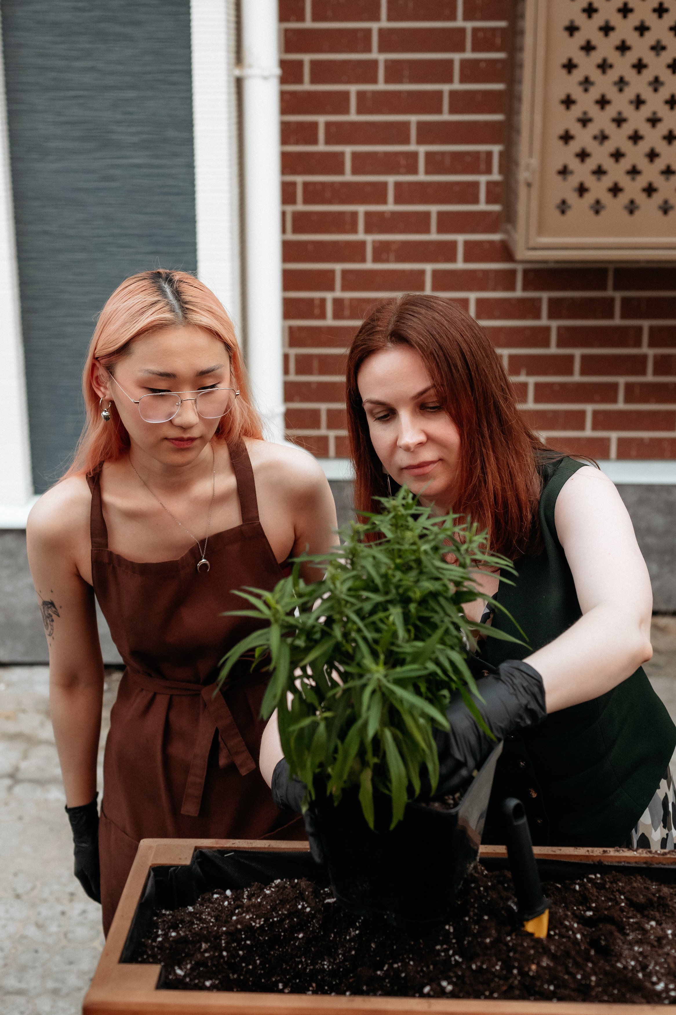 РЕСНОТА — ОТКРЫТИЕ ТЕРРАСЫ. СВОИ. ФОТООТЧЕТЫ-СОБЫТИЯ-МЕСТА