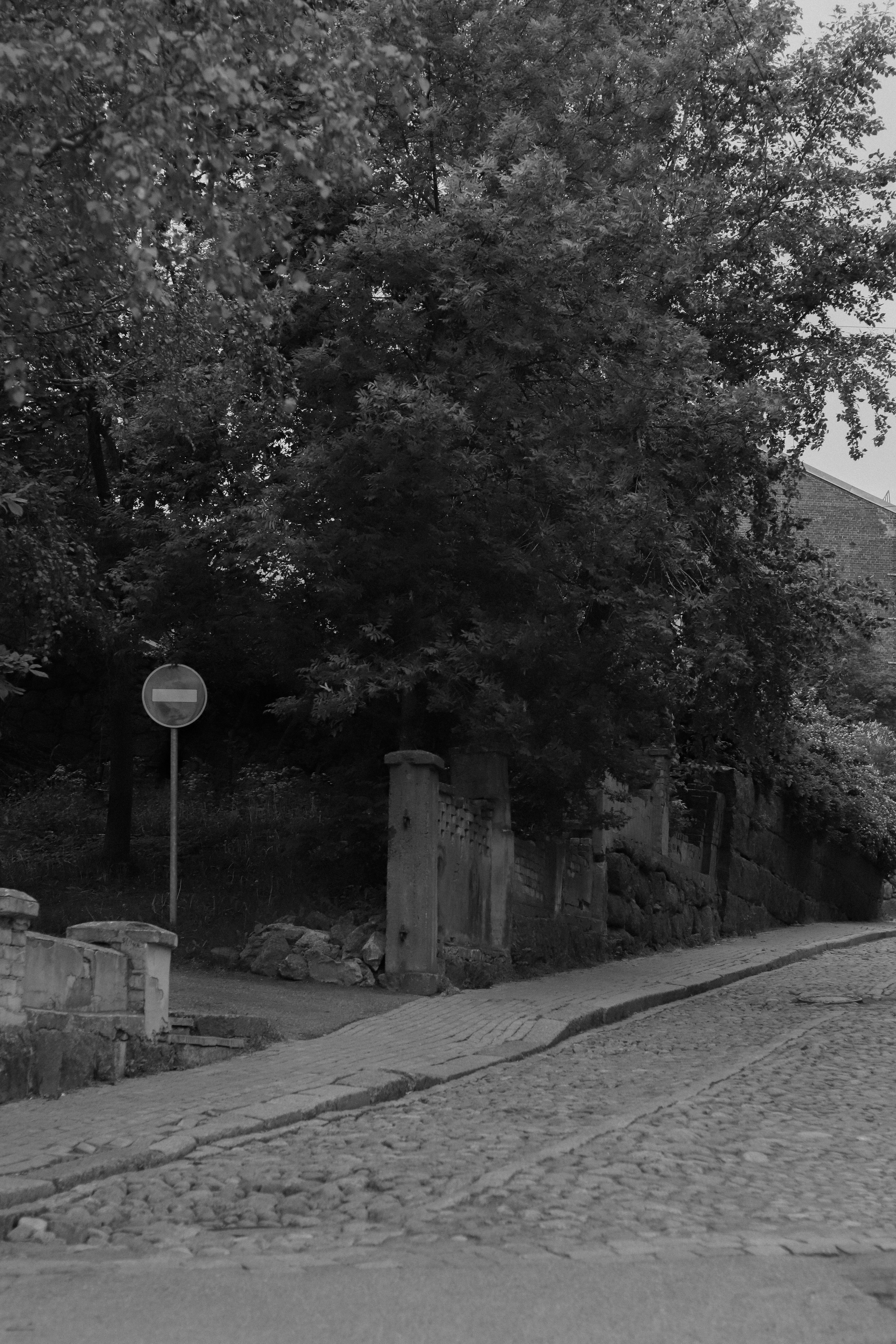 Contour. Фотограф и исследователь фотографии из Санкт-Петербурга Елизавета Веприцкая