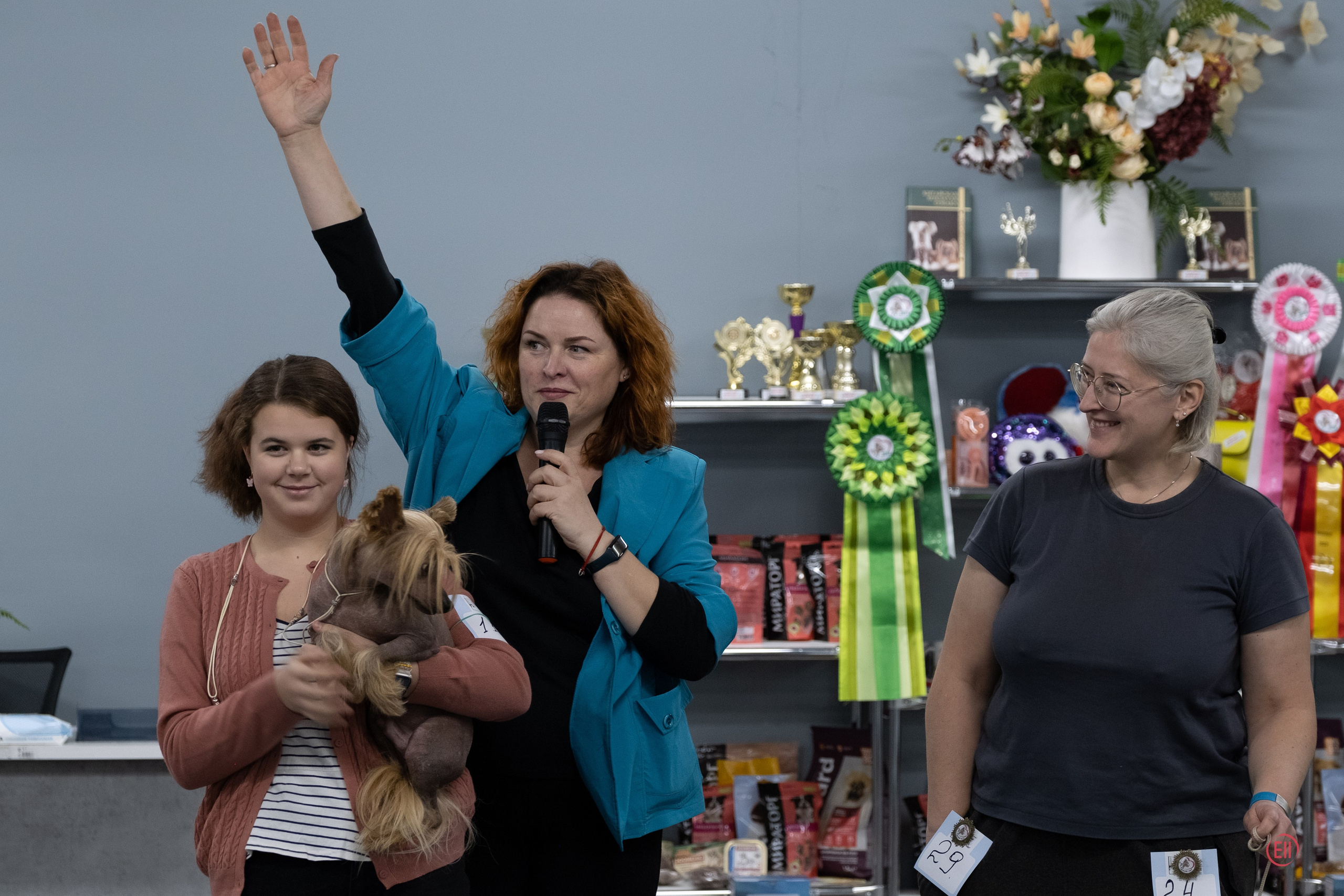 Праздник породы «Яркий мир китайских хохлатых собак». Питомник китайских хохлатых собак Poale Ell: купить щенка