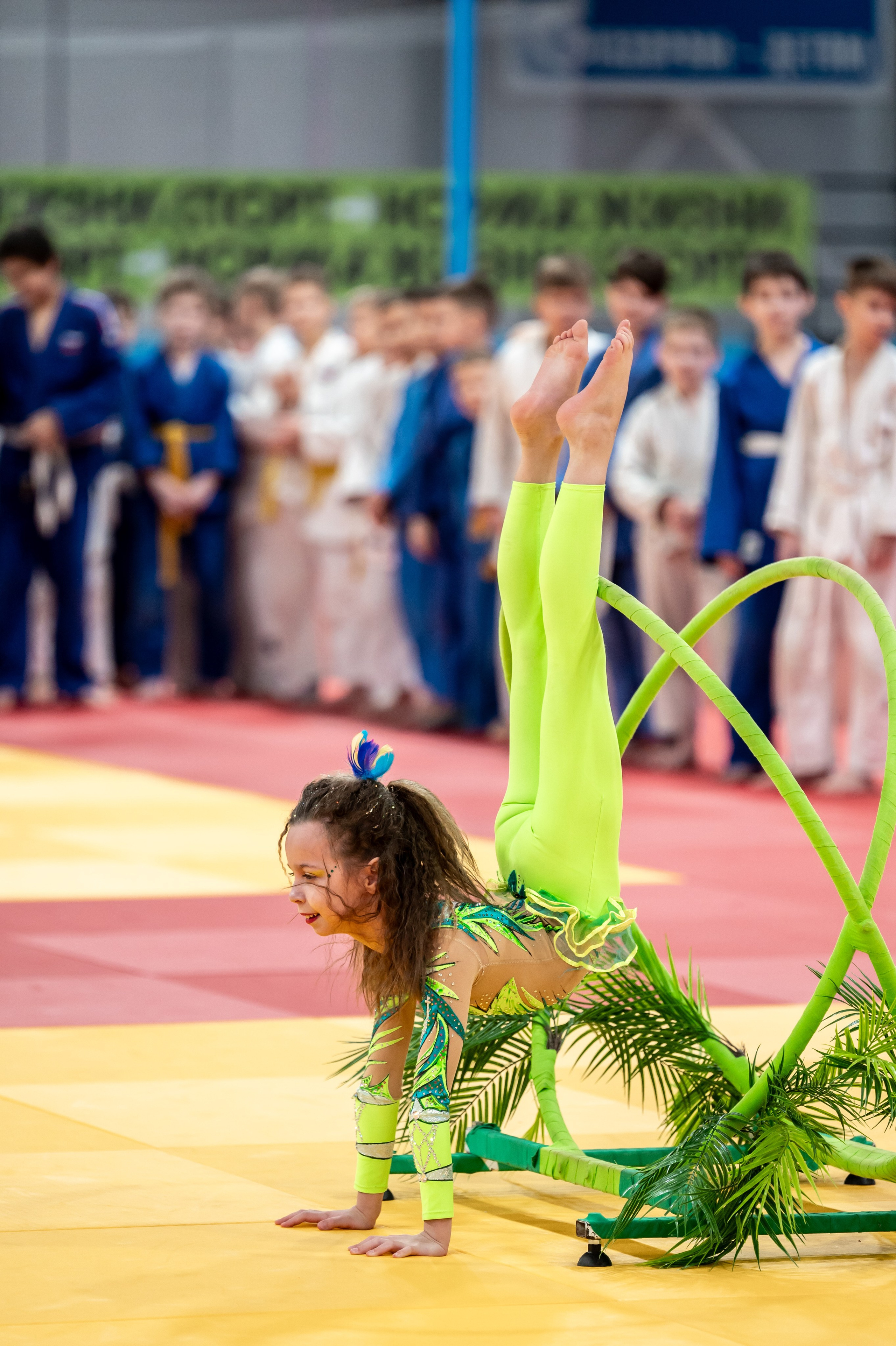 Новогодний турнир по дзюдо. Январь 2024. Спортивный фотограф в Туле и Тульской области. Файсханова Фото Спорт