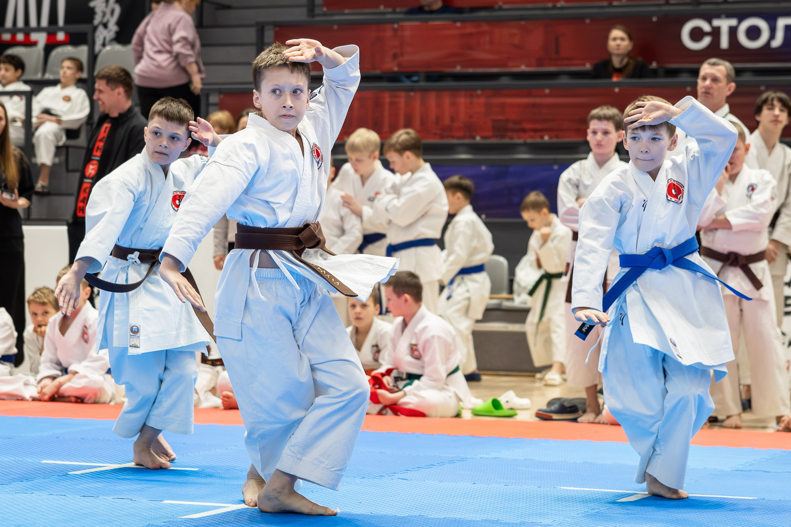 Каратэ. Свадебная фотосъёмка в Москве, Туле