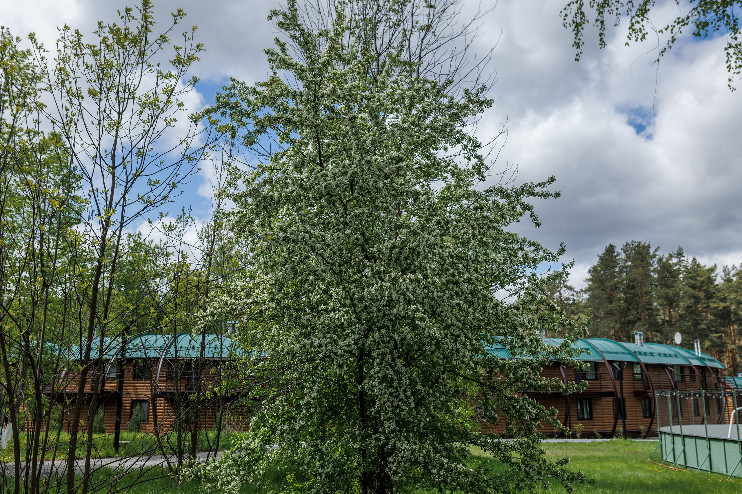 База отдыха «Металлург». Фотограф городских и семейных событий в Нижнем Новгороде Артем Карпухин