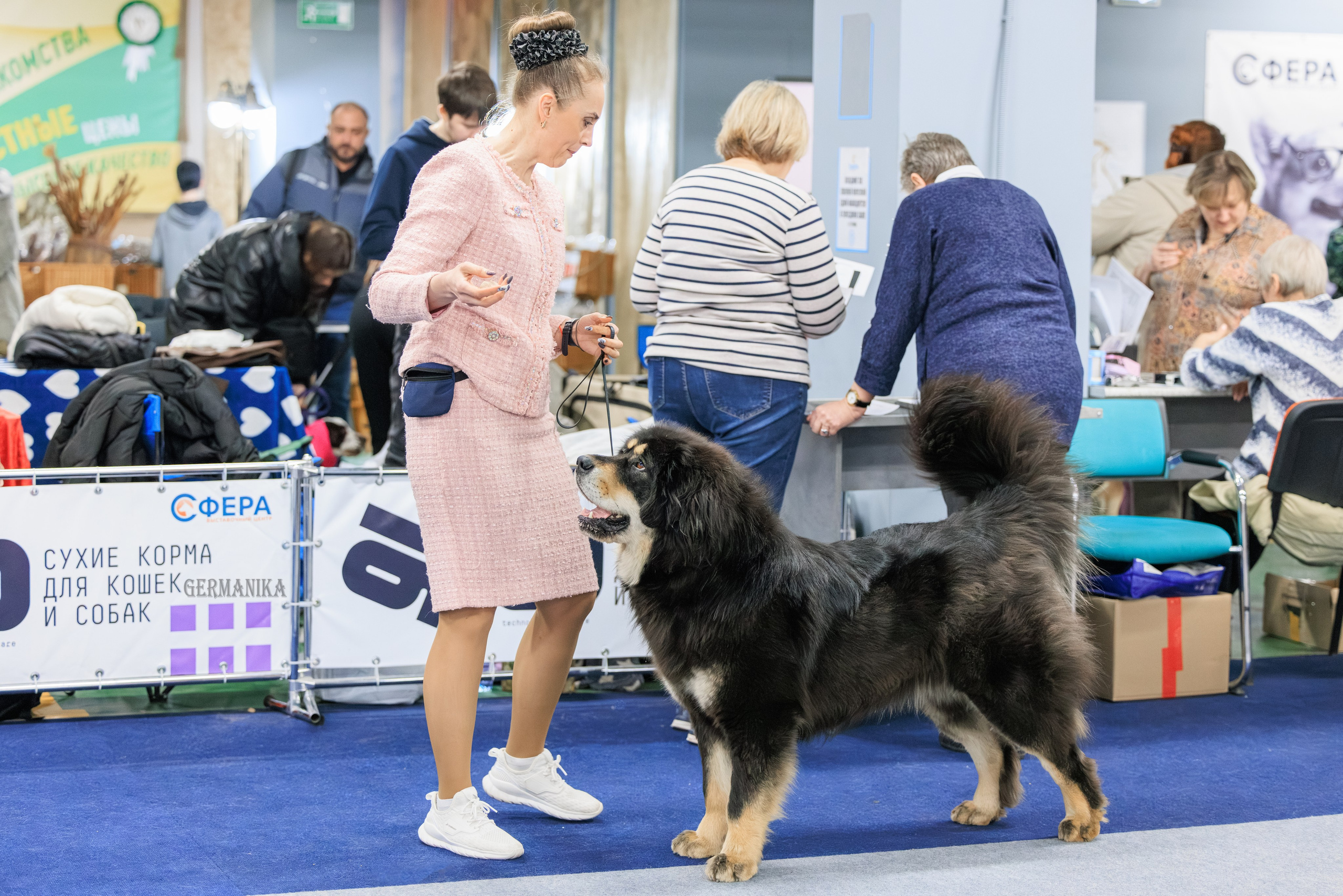 Сфера 08 и 10.03.2024 2хмоно ротвейлеров+2хмоно сао. Фотограф-анималист Юлия Германика