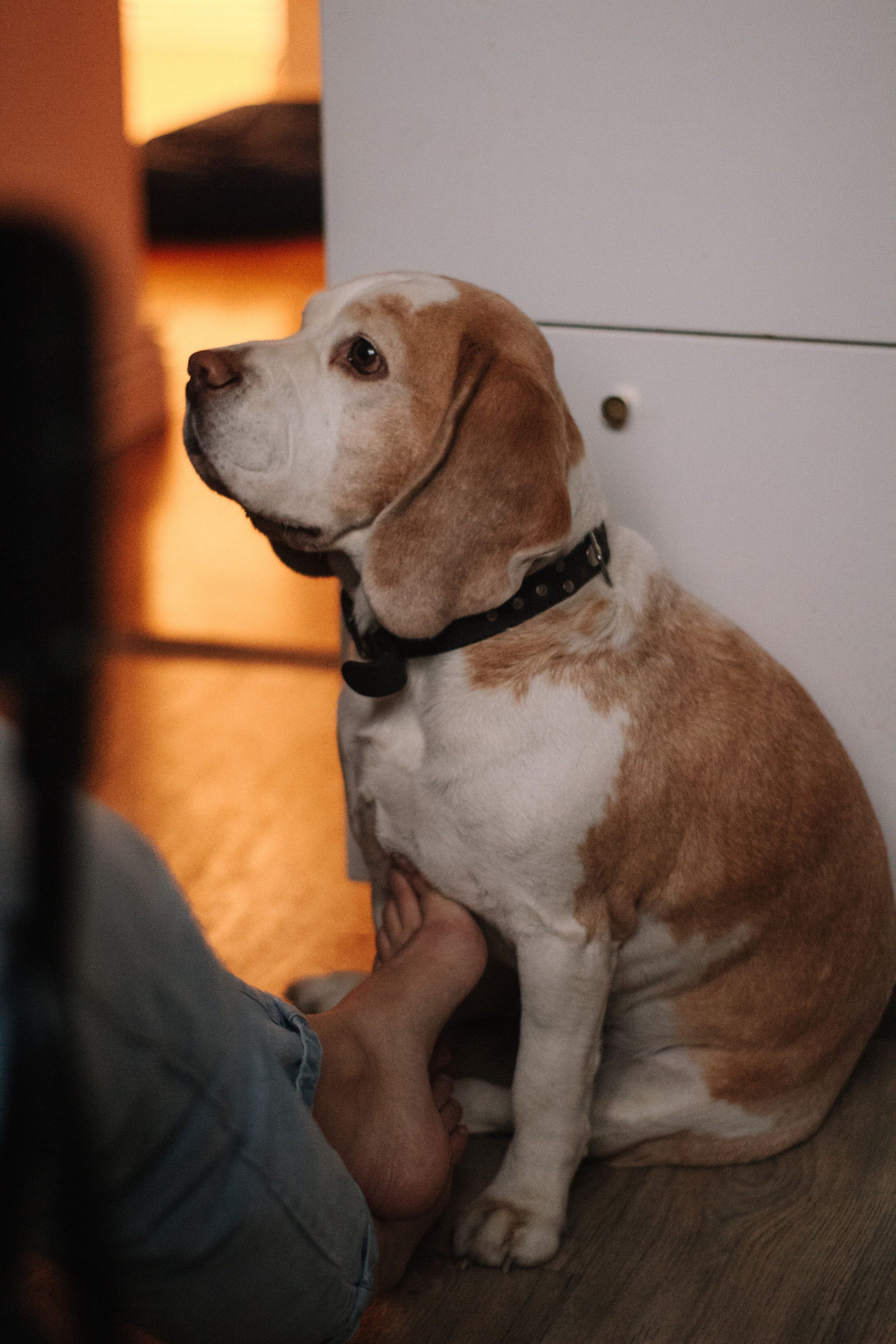 Ирина и Марк. Фотограф Дубровская Виктория