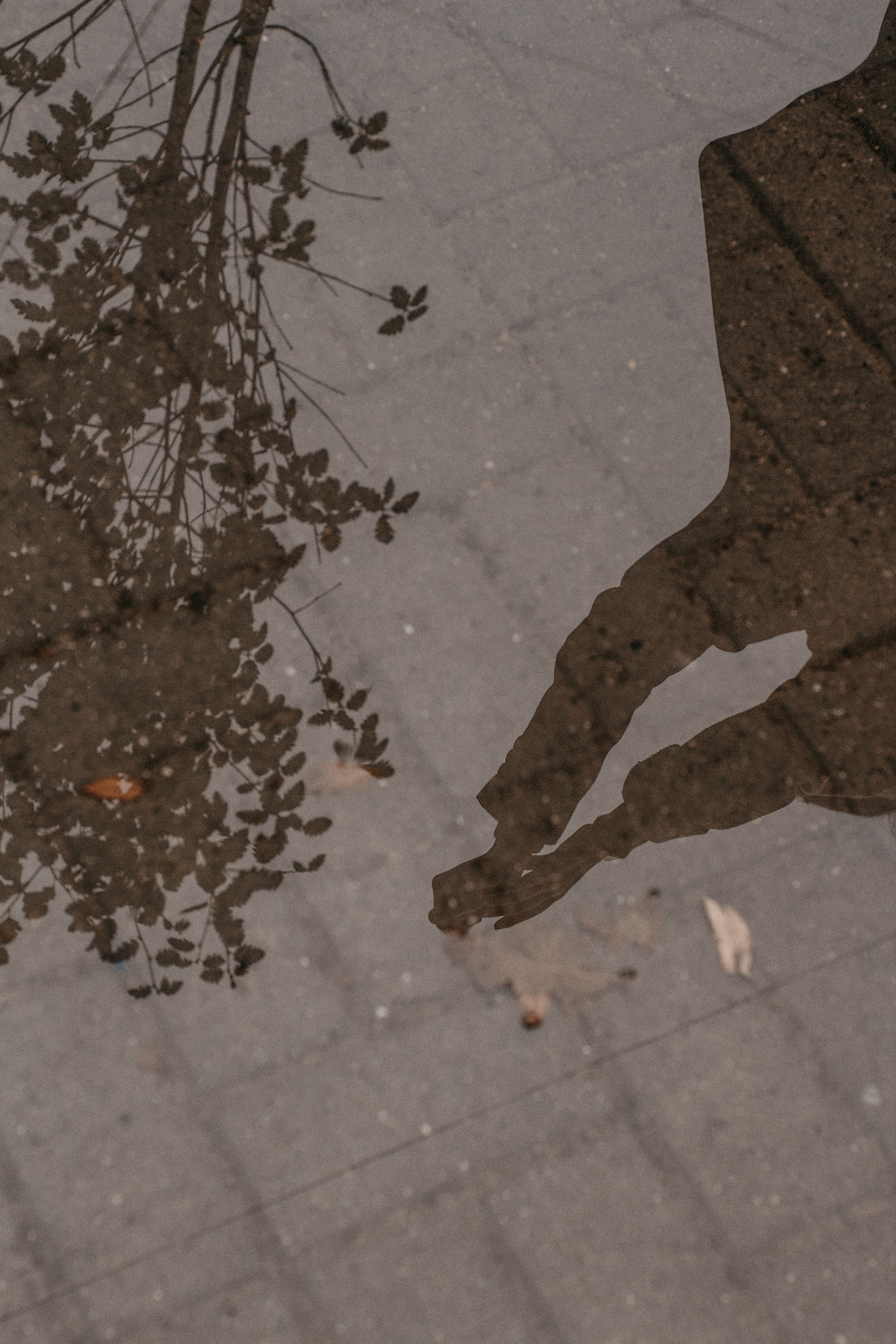 Ксения и Александр. Фотограф Дубровская Виктория