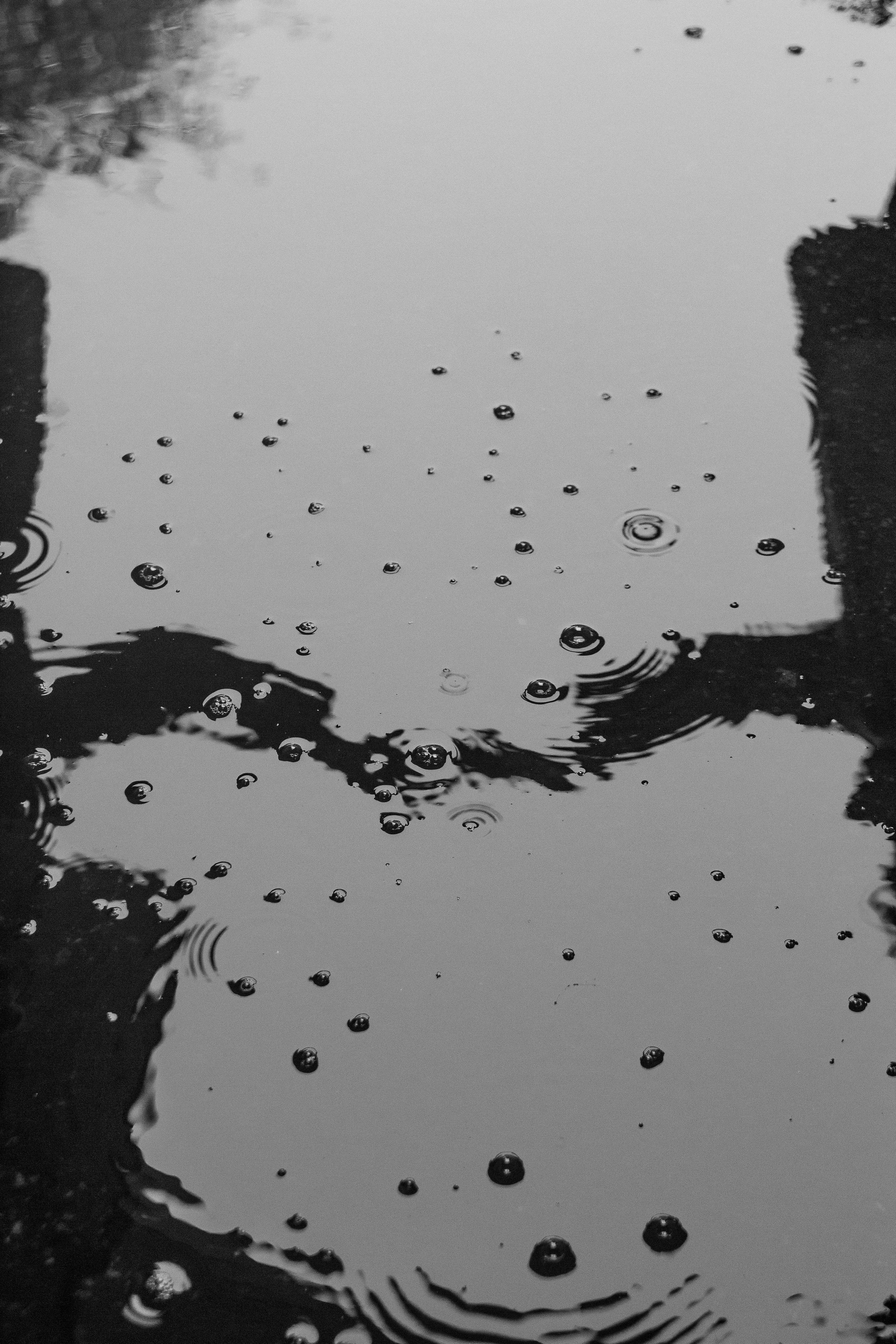 Ксения и Александр. Фотограф Дубровская Виктория