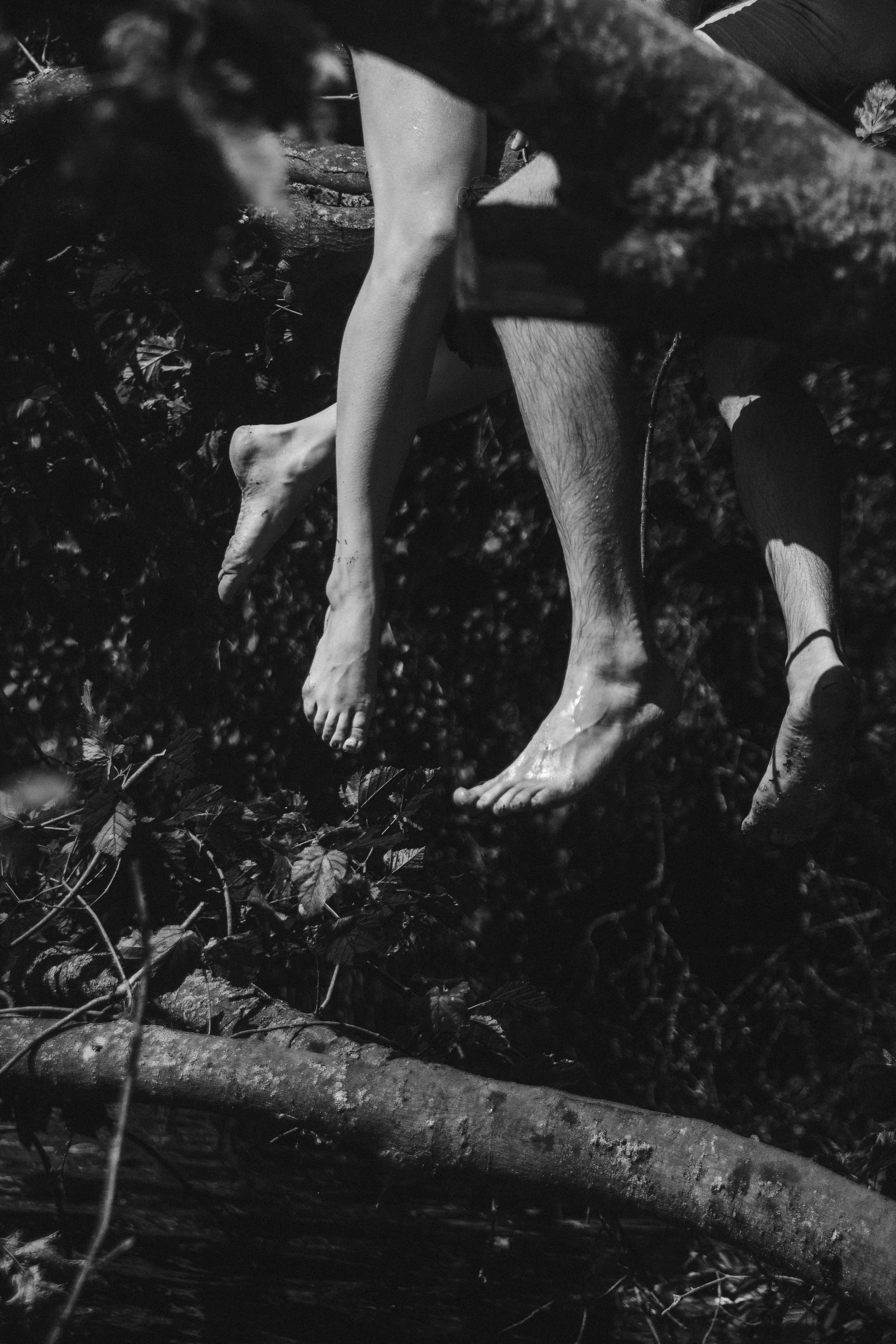 Вдогонку ушедшему лету. Фотограф Дубровская Виктория