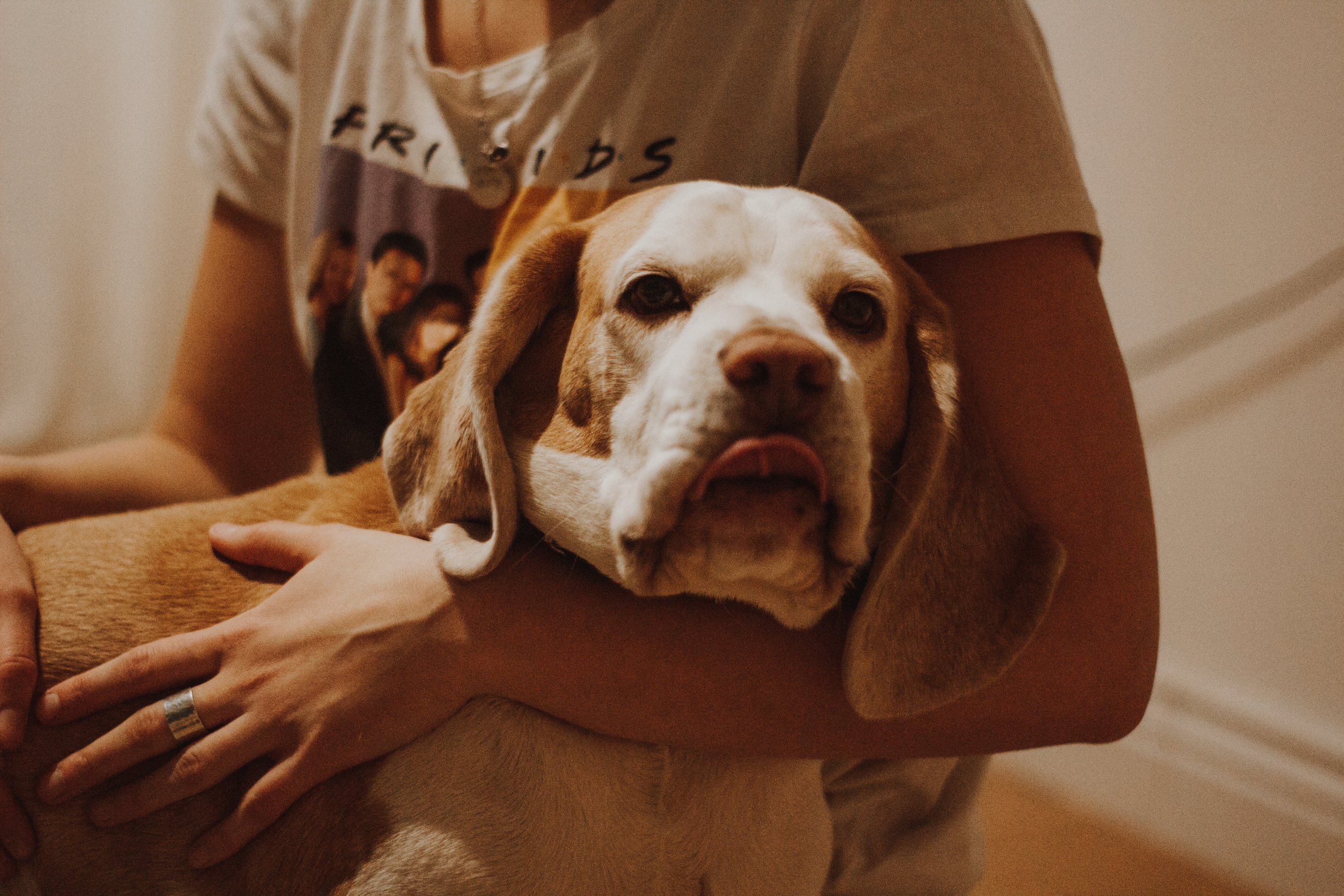 Ирина и Марк. Фотограф Дубровская Виктория