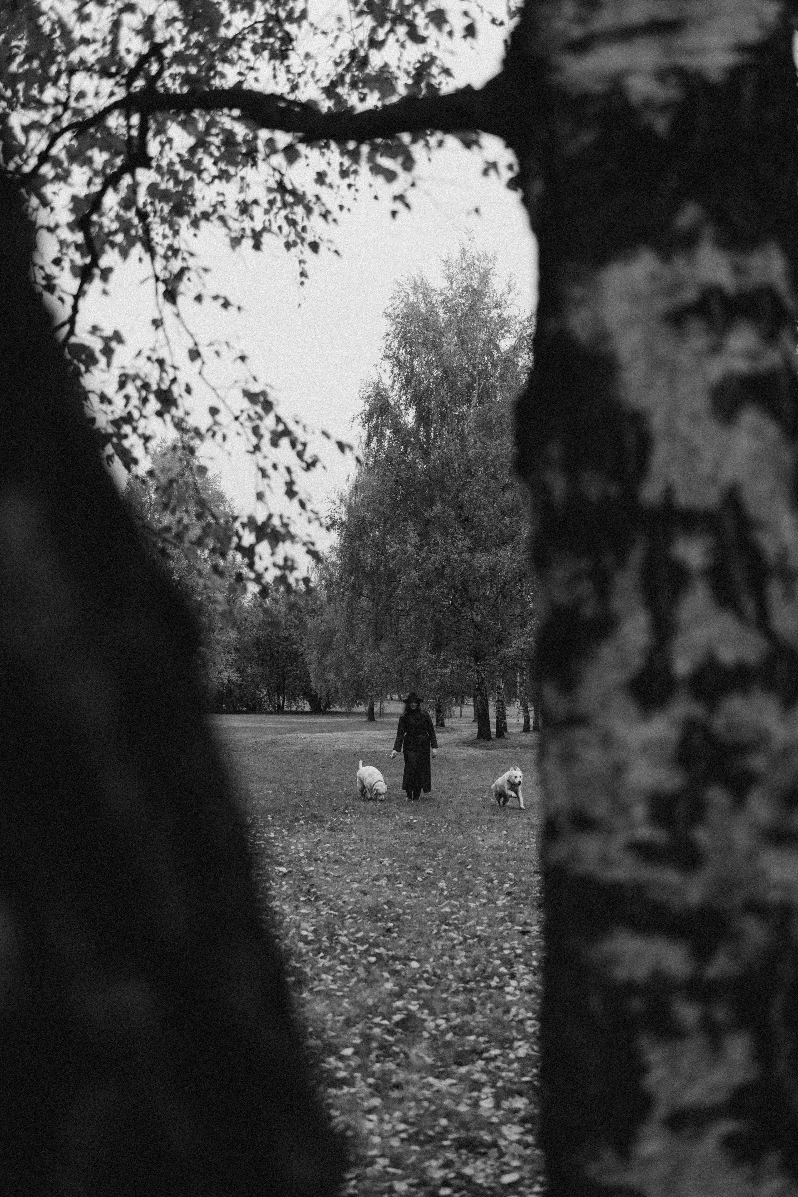 Женя и ее девочки. Фотограф — Анималист | Санкт-Петербург